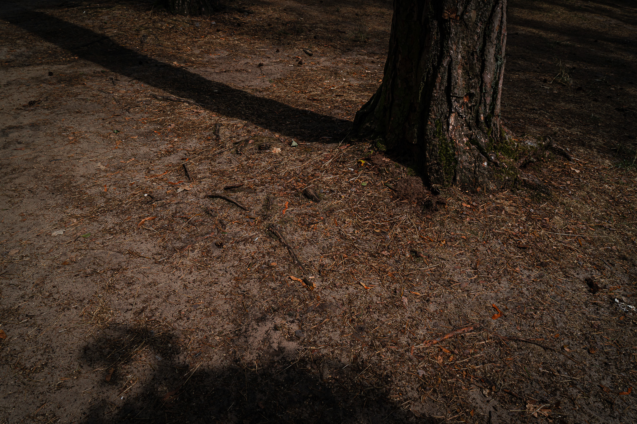 Camping 1, 50x70cm, 159,00€