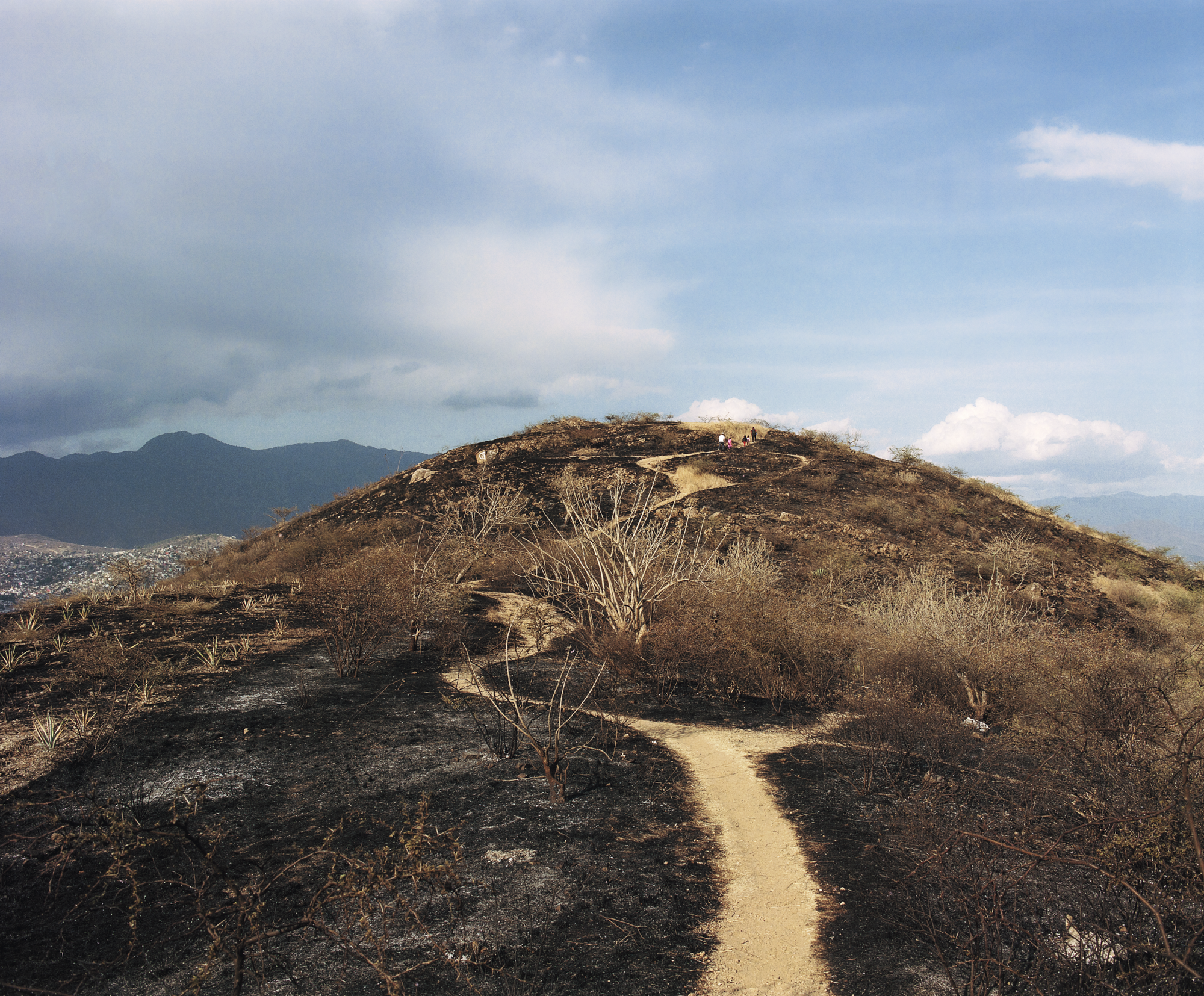 02/35, Untitled 2022