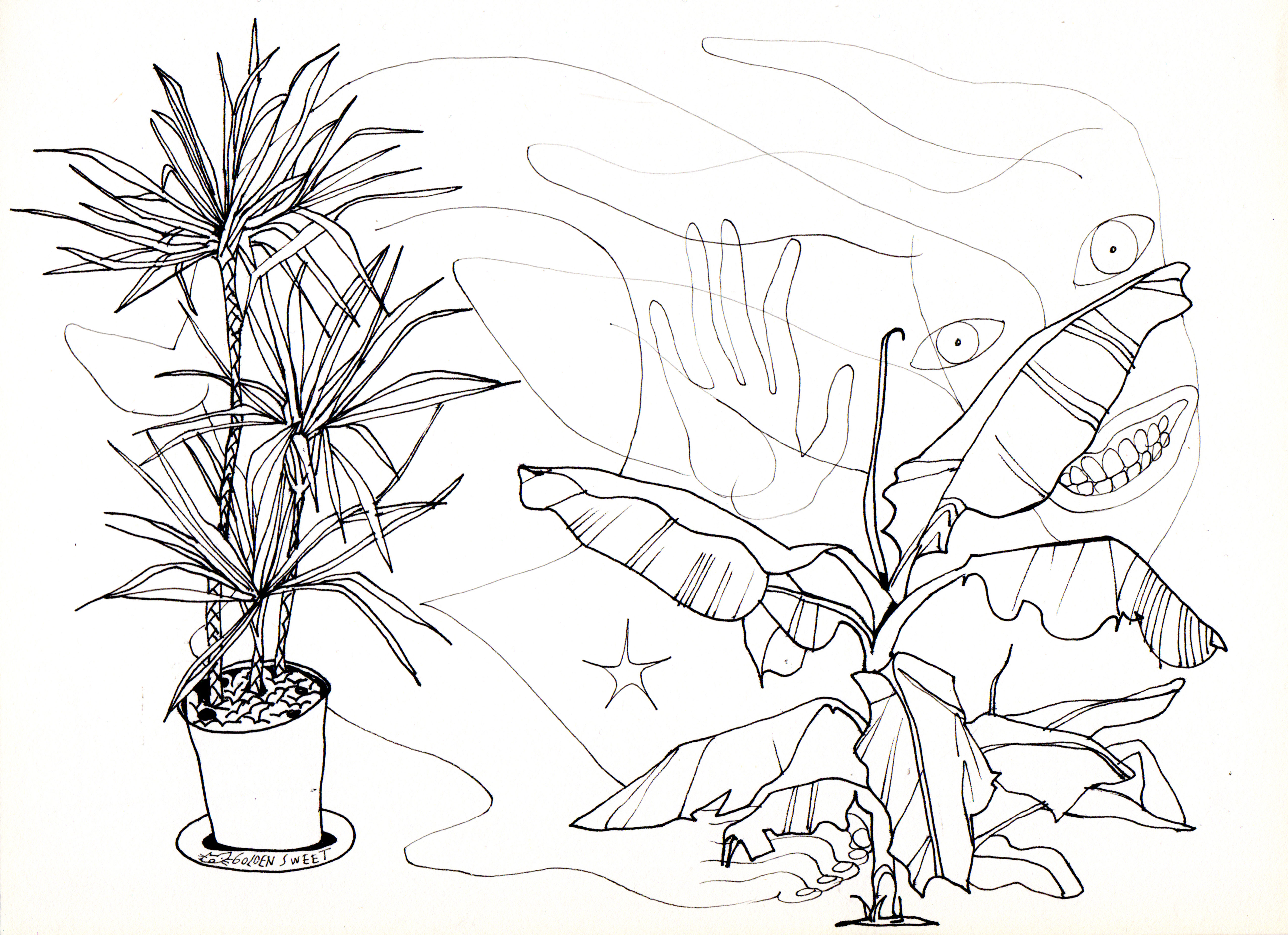 S͓̽p͓̽i͓̽r͓̽i͓̽t͓̽ ͓̽T͓̽r͓̽y͓̽i͓̽n͓̽g͓̽ ͓̽t͓̽o͓̽ ͓̽H͓̽i͓̽d͓̽e͓̽ ͓̽B͓̽e͓̽h͓̽i͓̽n͓̽d͓̽ ͓̽P͓̽l͓̽a͓̽n͓̽t͓̽s͓̽