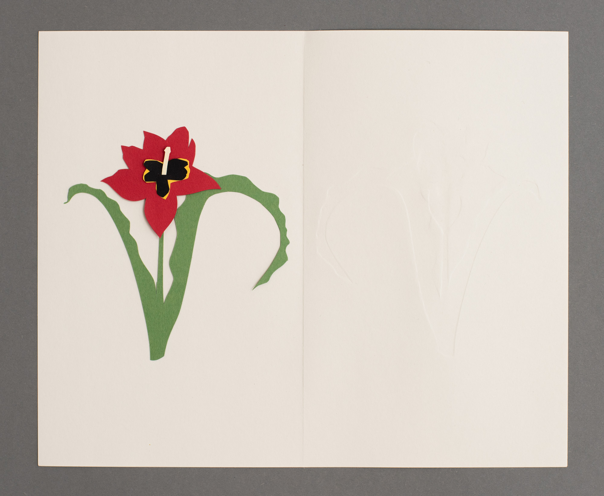 Desert Tulip, قرن الغزال الصّحراوي, צבעוני המדבר