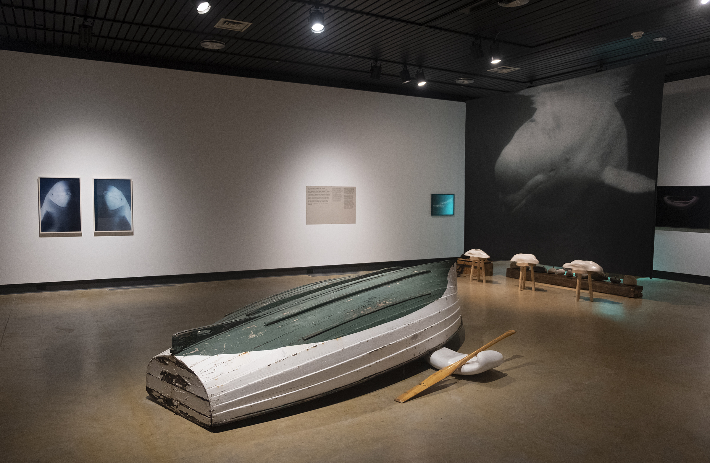 Dans l'œil du béluga, Galerie d’art Louise-et-Reuben-Cohen de l'Université de Moncton, 2025