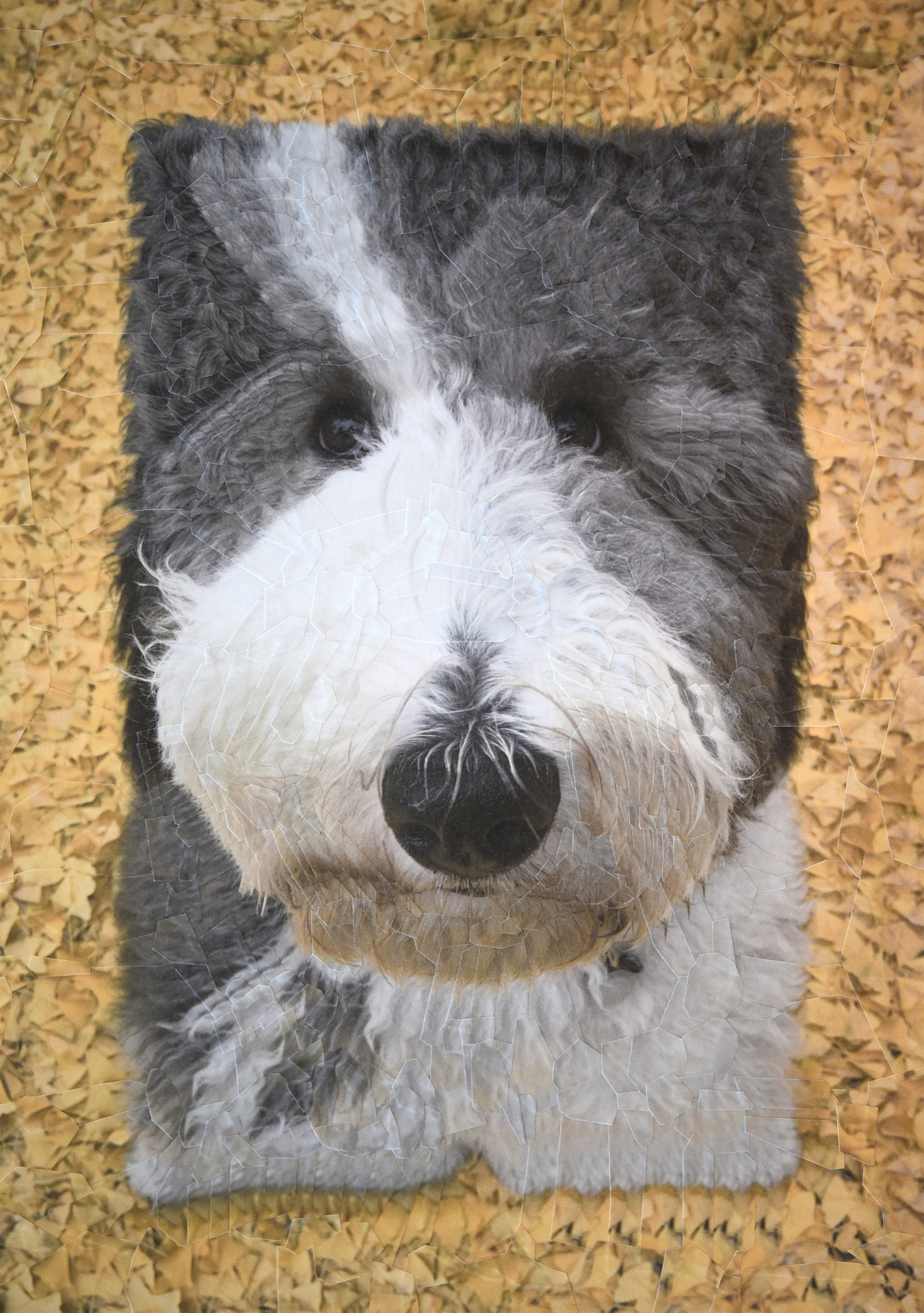 Cece, 2018, 8.2 x 11.6 inches