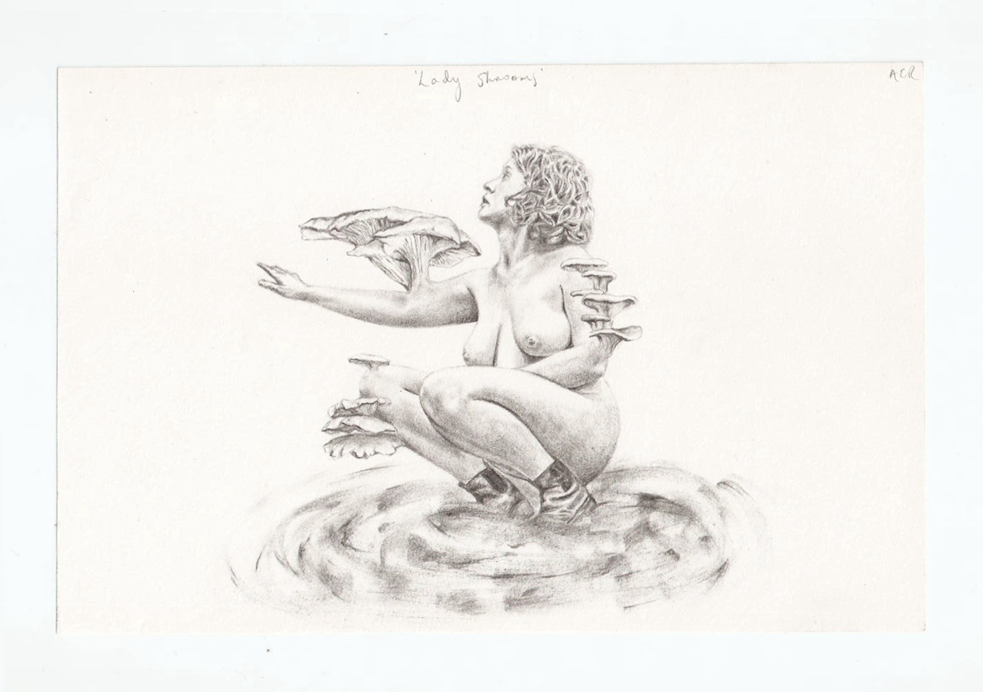 &lsquo;Lady Shrooms&rsquo;, graphite on paper, 14 x 21 cm. From a study of the oyster mushroom, Pleurotus ostreatus. Fungi, but moreso mycelium, play a vital role in our ecosystems, yet are destroyed by wildfires, the planting of monoculture and deforestation.