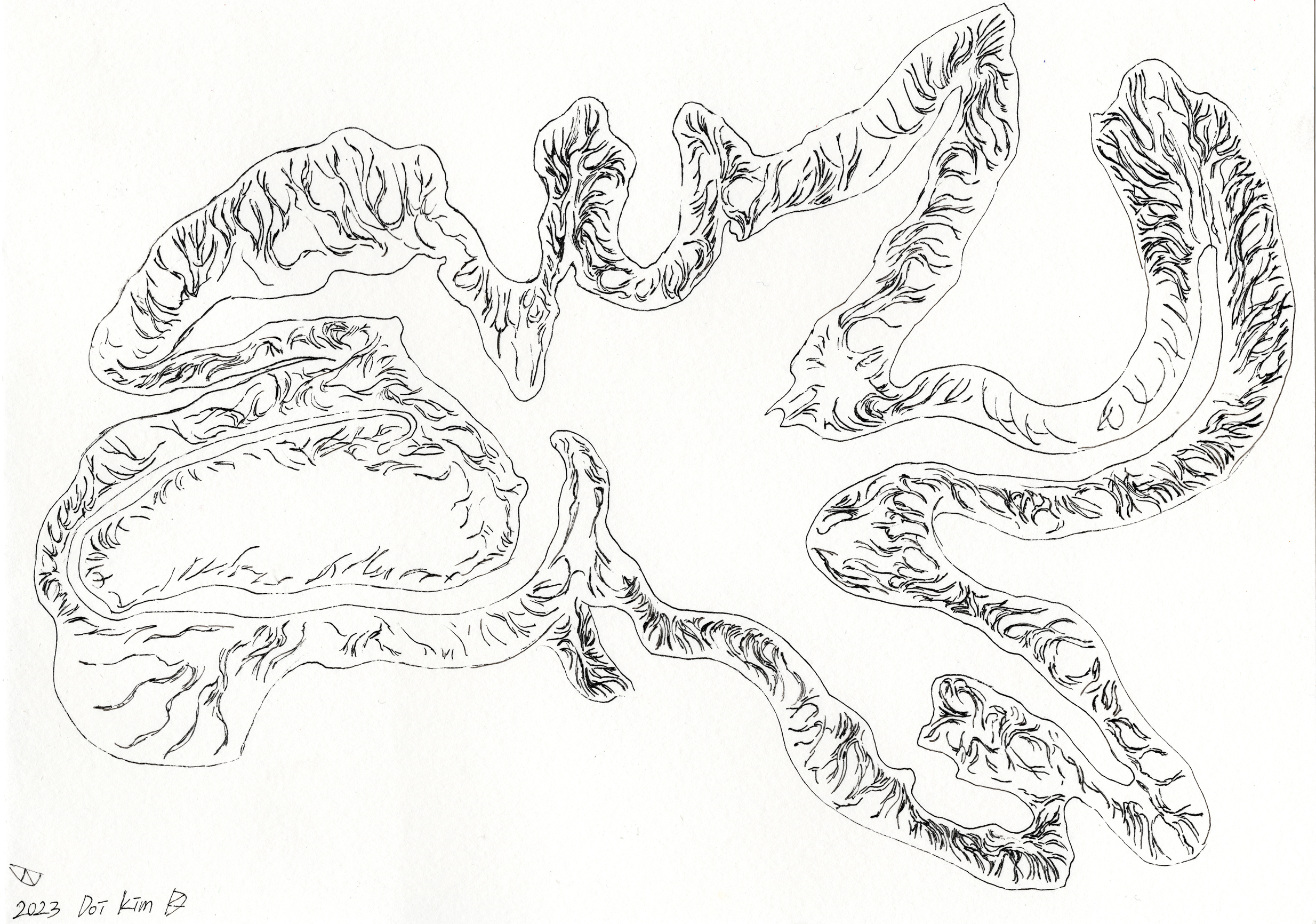 Memory 2, archival pen on paper, 6x8 in / 14.8x21 cm