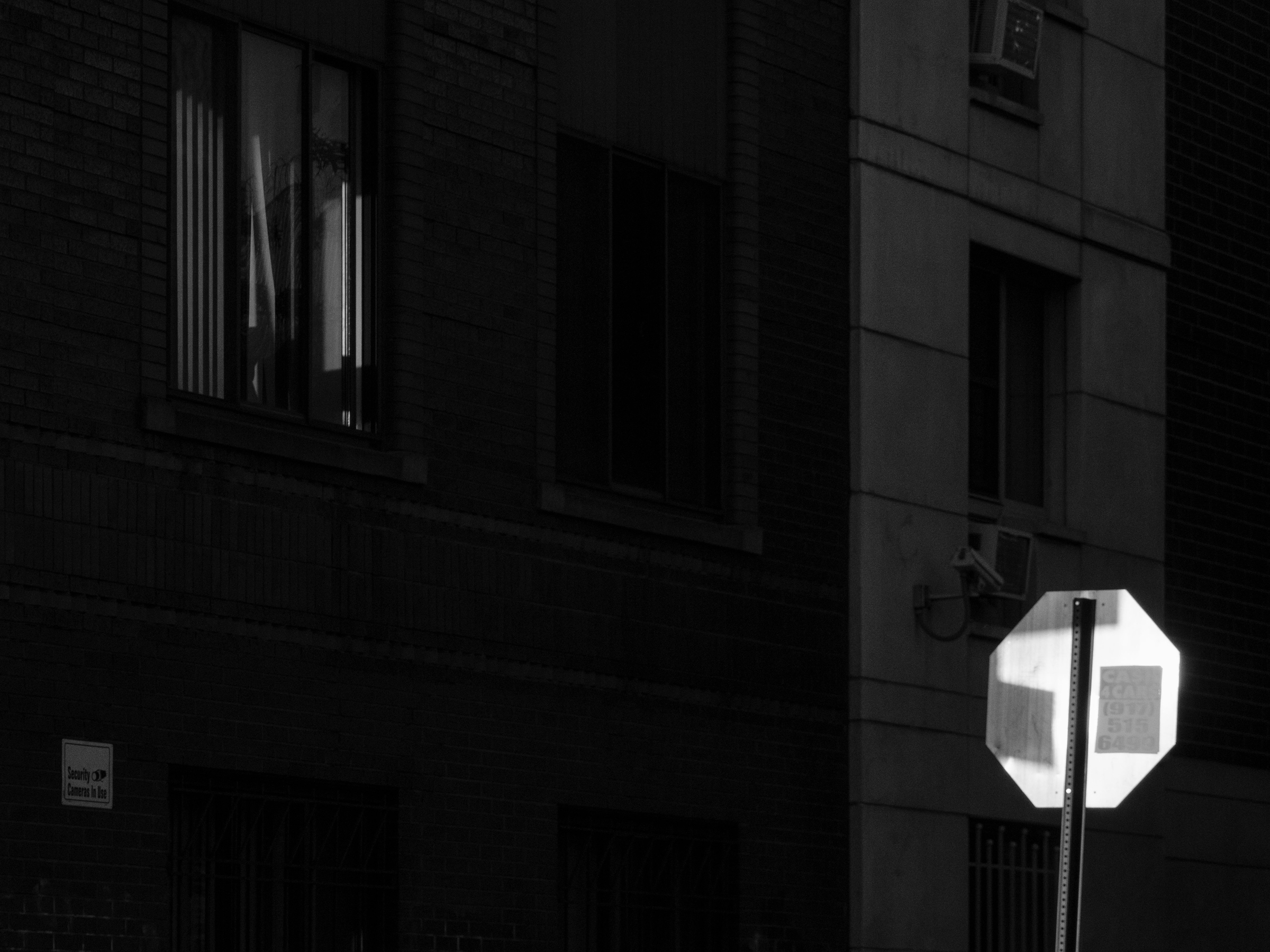 Sources of Self-Regard for The New York Times