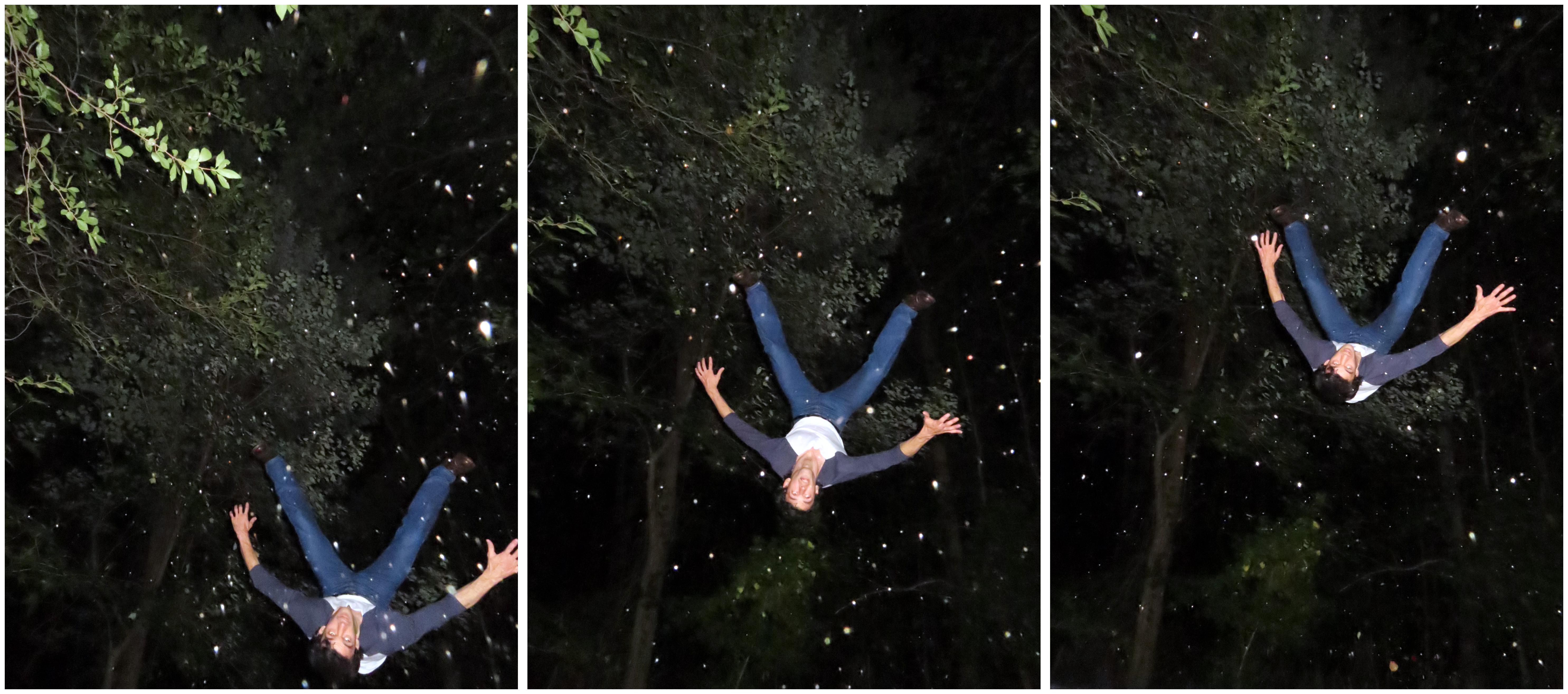 There Was an Air of Inevitability About the Outcome, 2022Point-and-shoot images82.5 x 36.5 in.209.55 x 92.71 cm