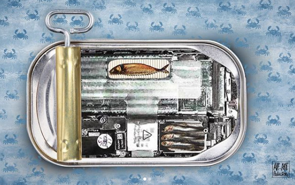 Ankie Luiken-Feldberg