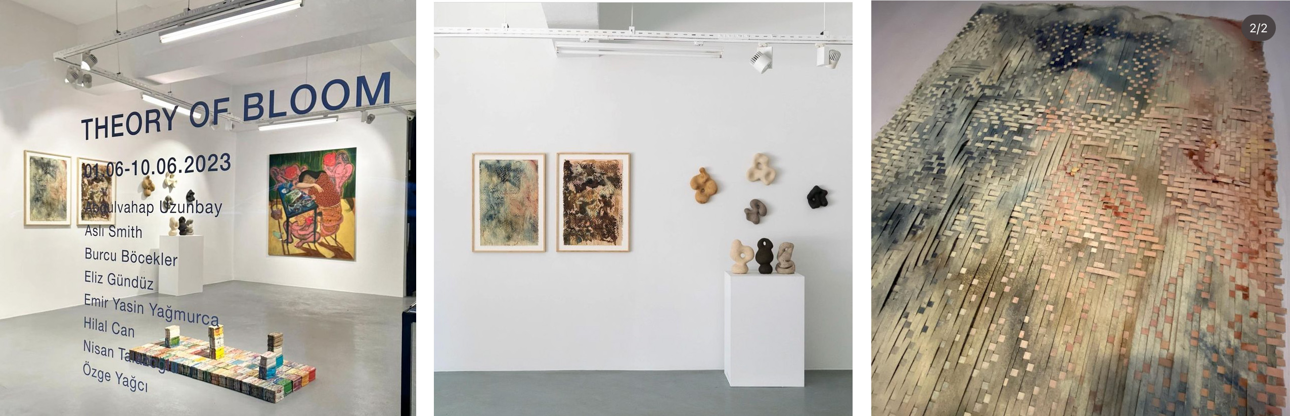 May 2023 - Theory of Bloom Exhibition at Buyukdere35