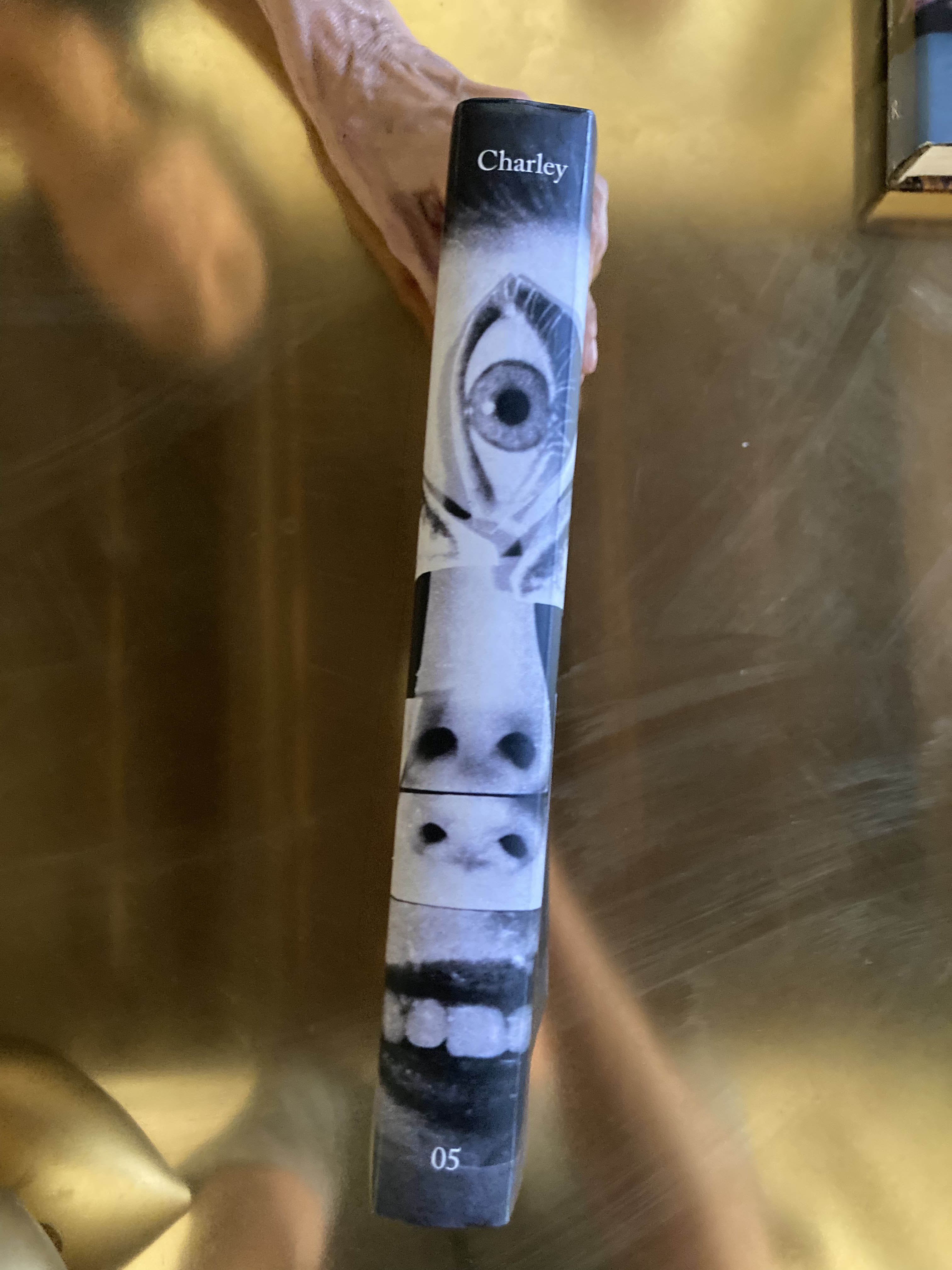 Charley 05 by Maurizio Cattelan