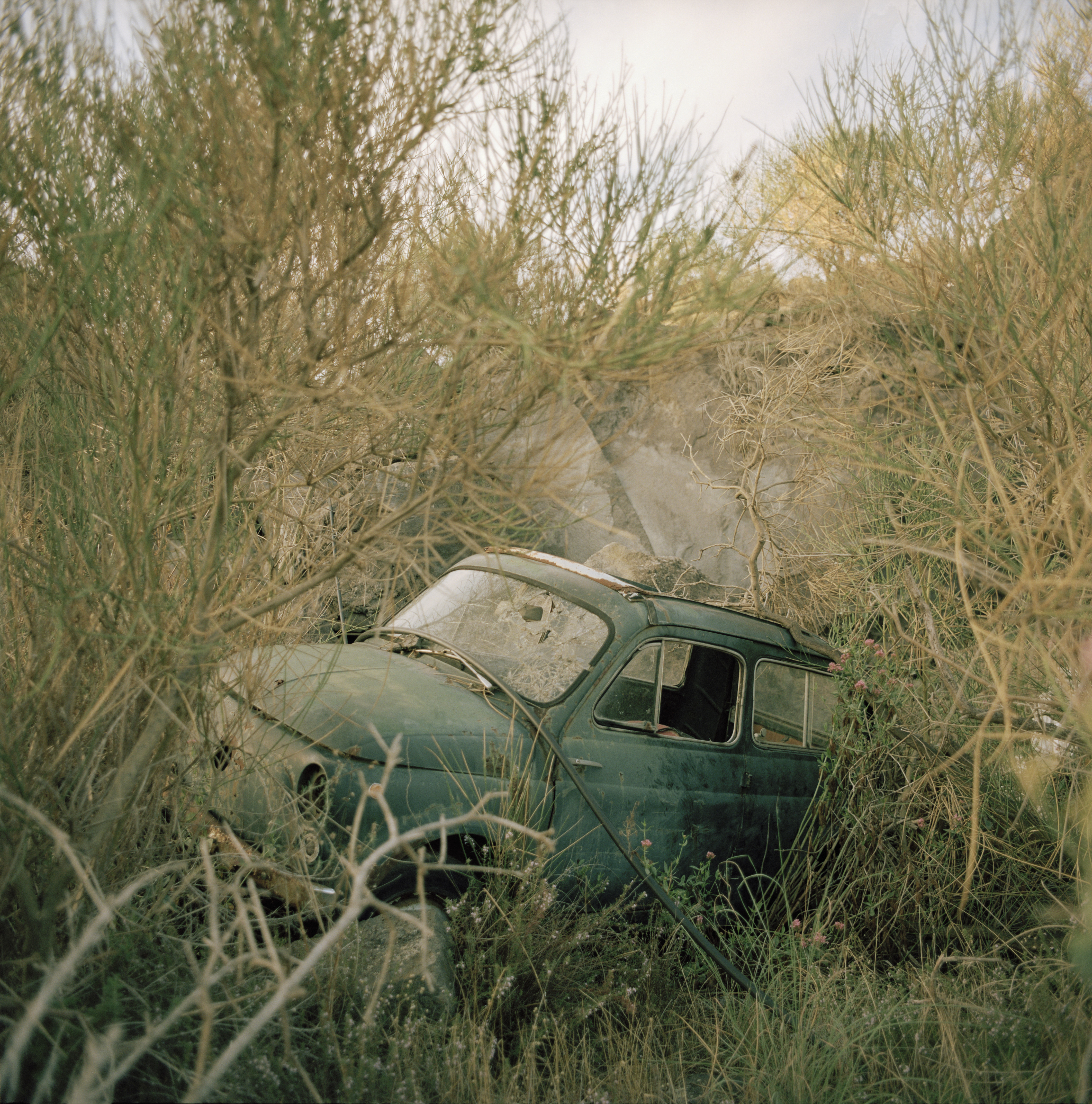 Fiat 500 Giardiniera - Etna Volcano, 2018