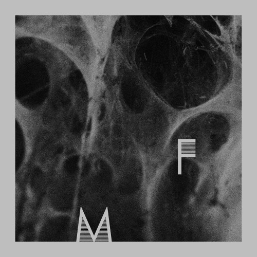 2014 | Father Murphy - Let them all fail with you