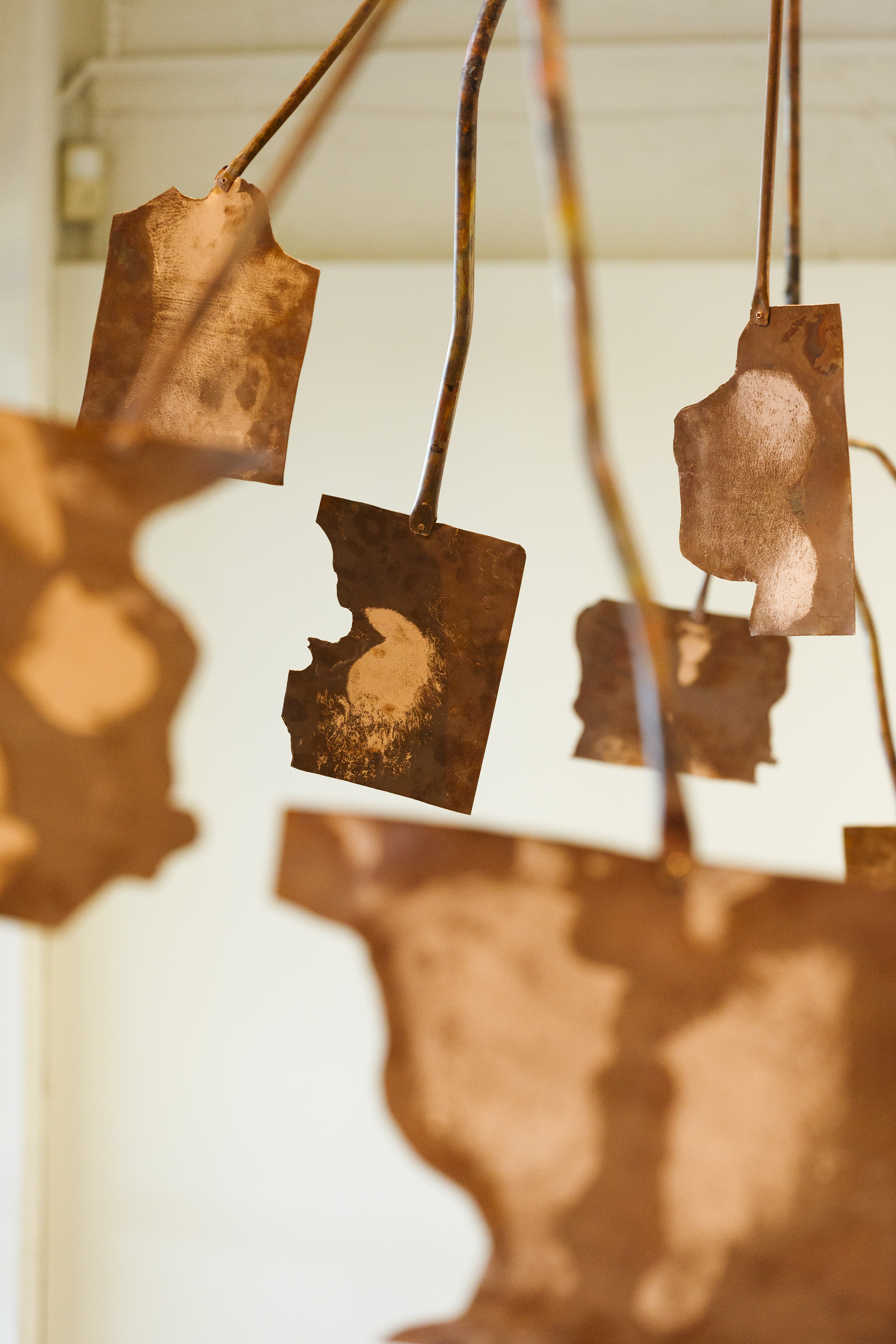 Collective Breath (2023)