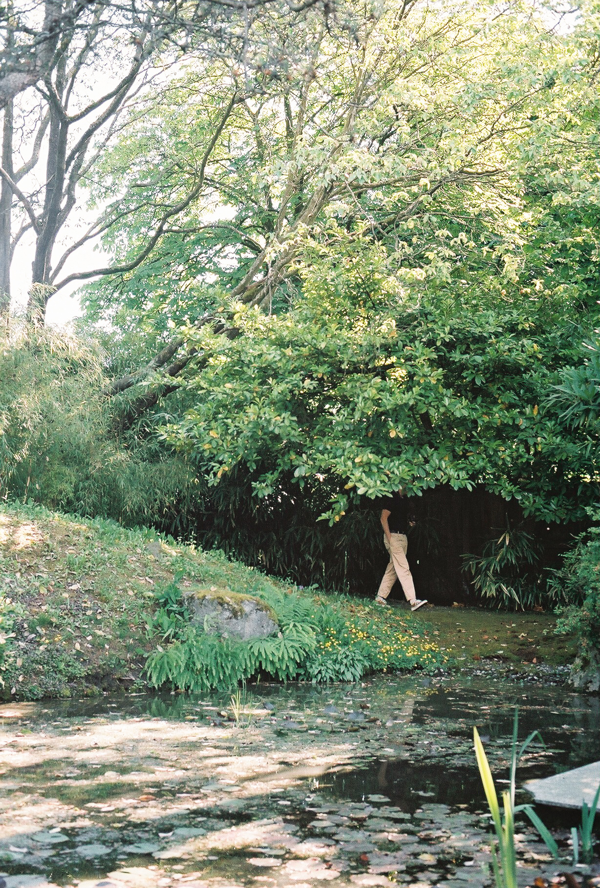 Arthur Erickson&rsquo;s Secret Garden, Vancouver / 2022.7