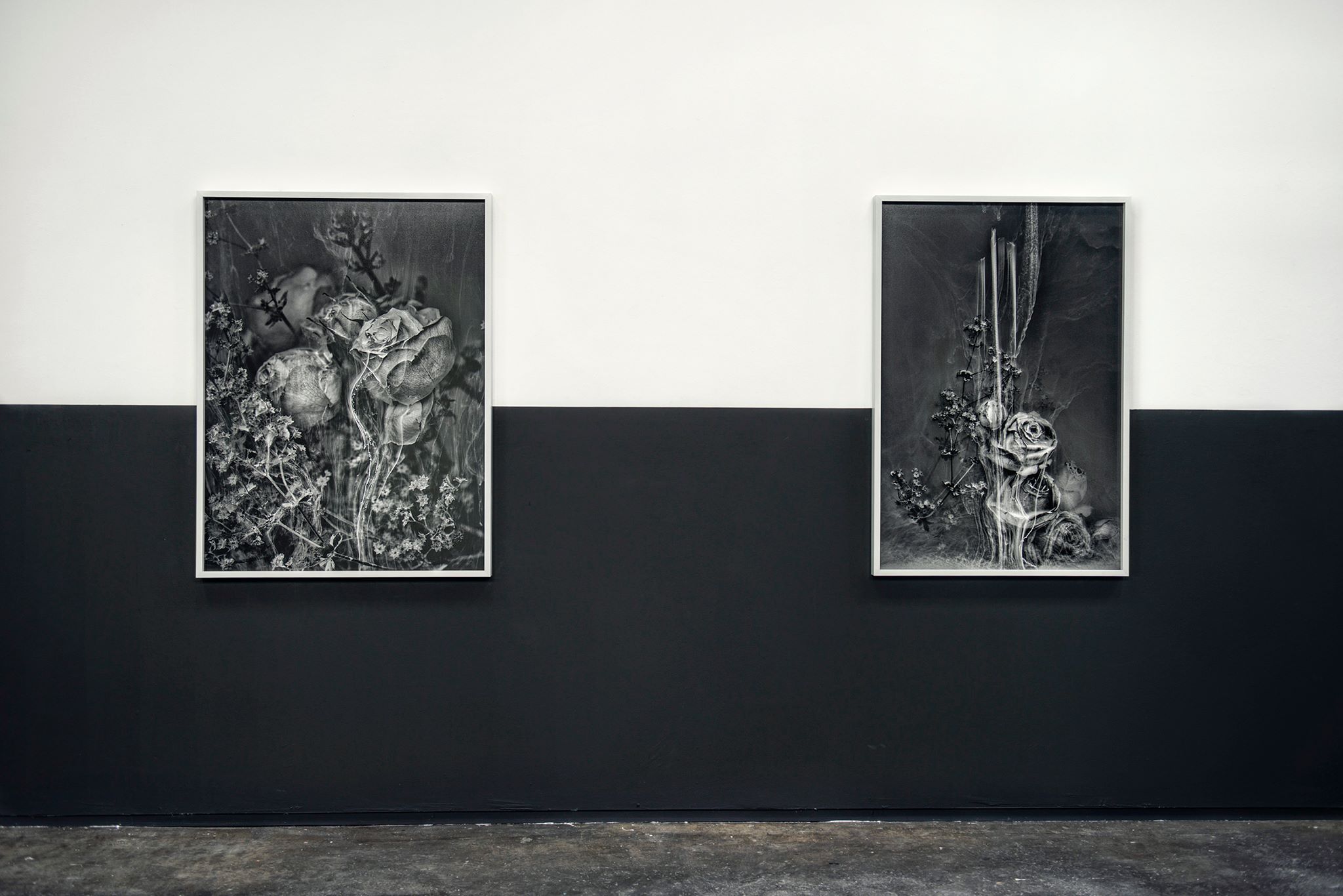 Solo "BLACK OUT" Francis Boeske Projects 2017