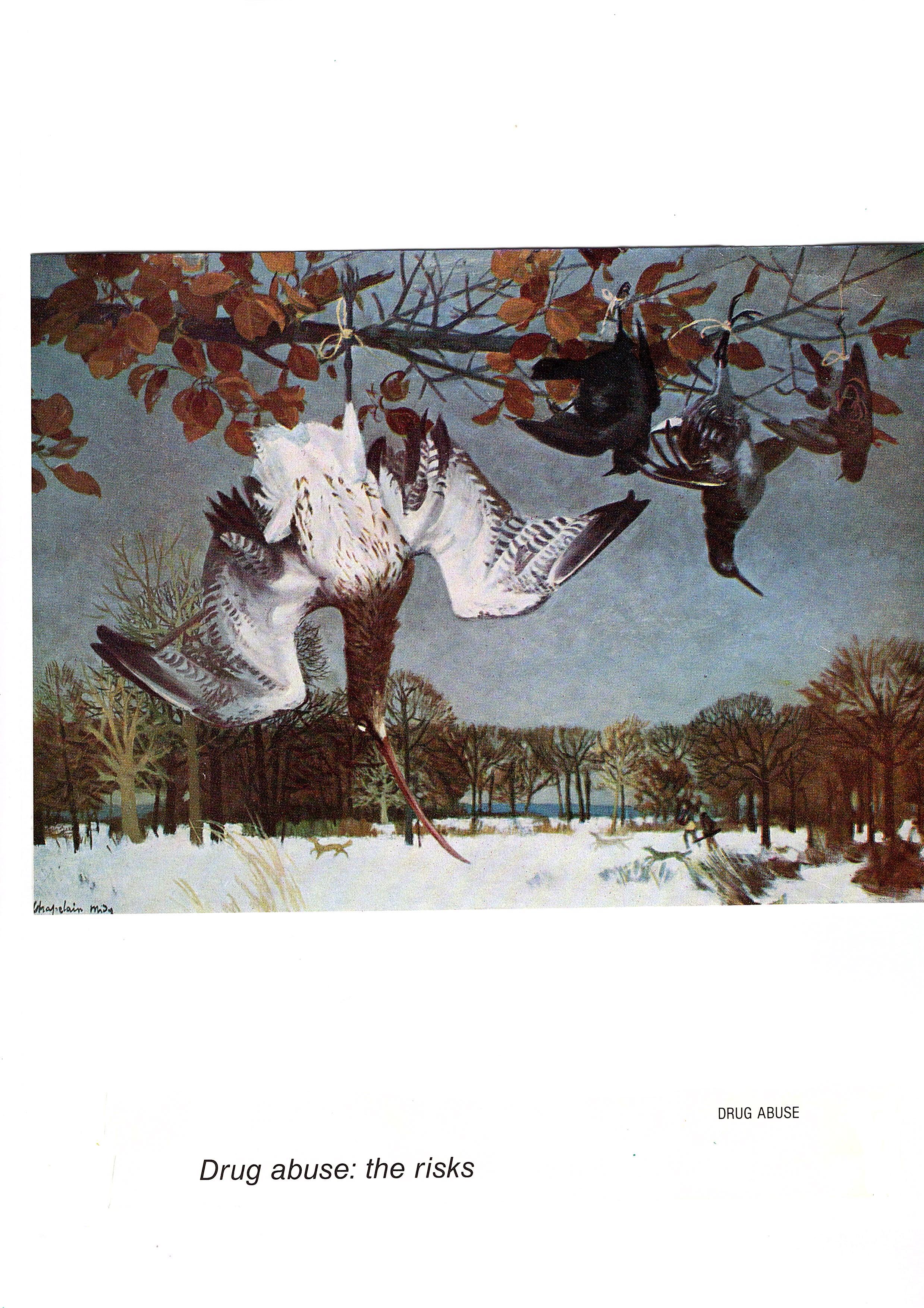 Drug Abuse: The Risks, 2023, Collage on Paper, 21.7 X 28 cm