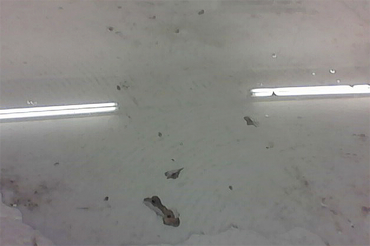 Stub, w/ Josh Bitelli & Felix Melia, 2016. Exhibition View