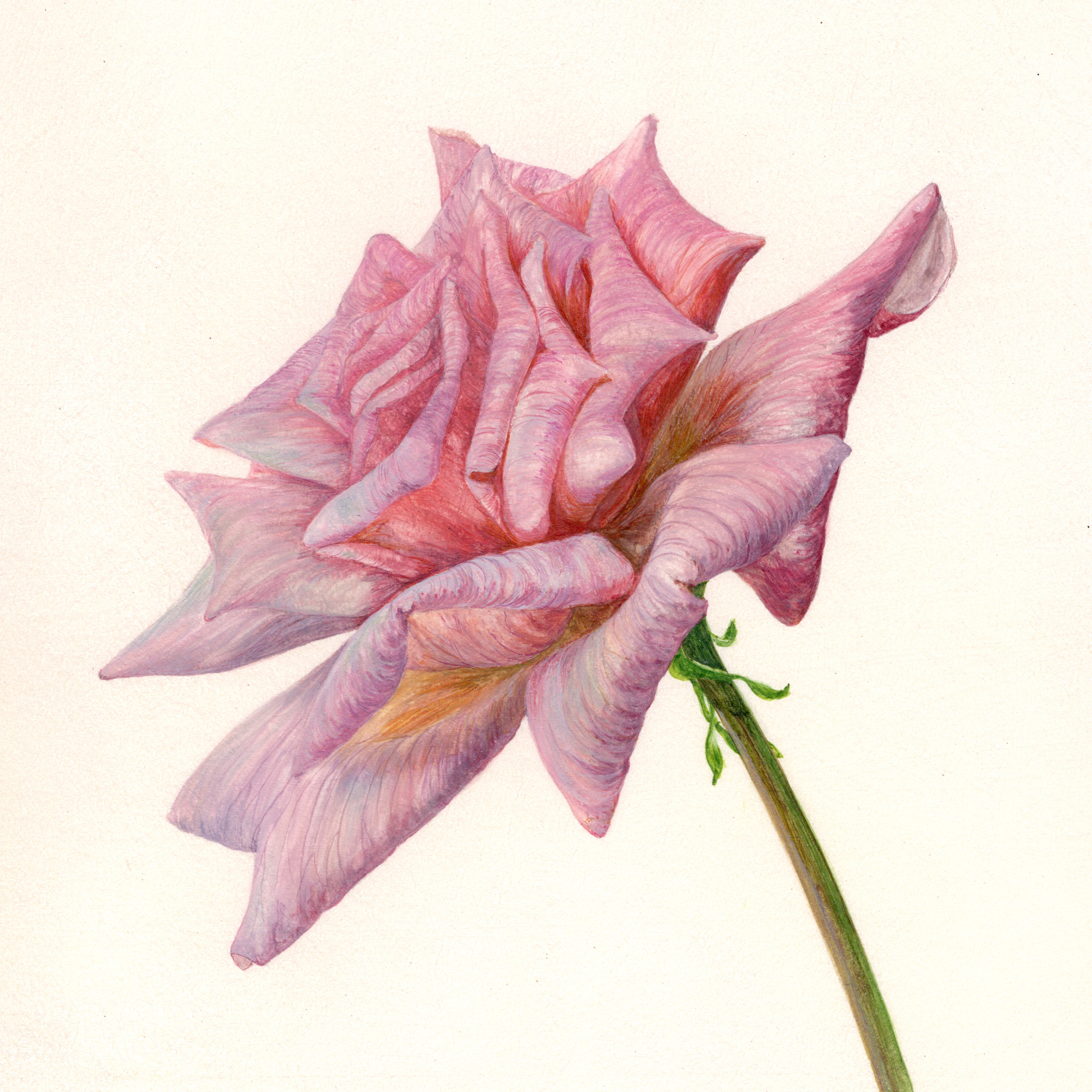 Spoken with compassion