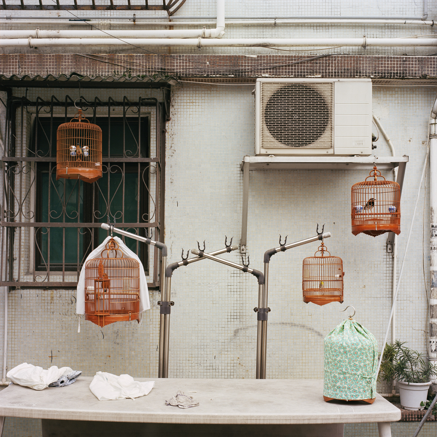 Hong Kong Village X, 2015