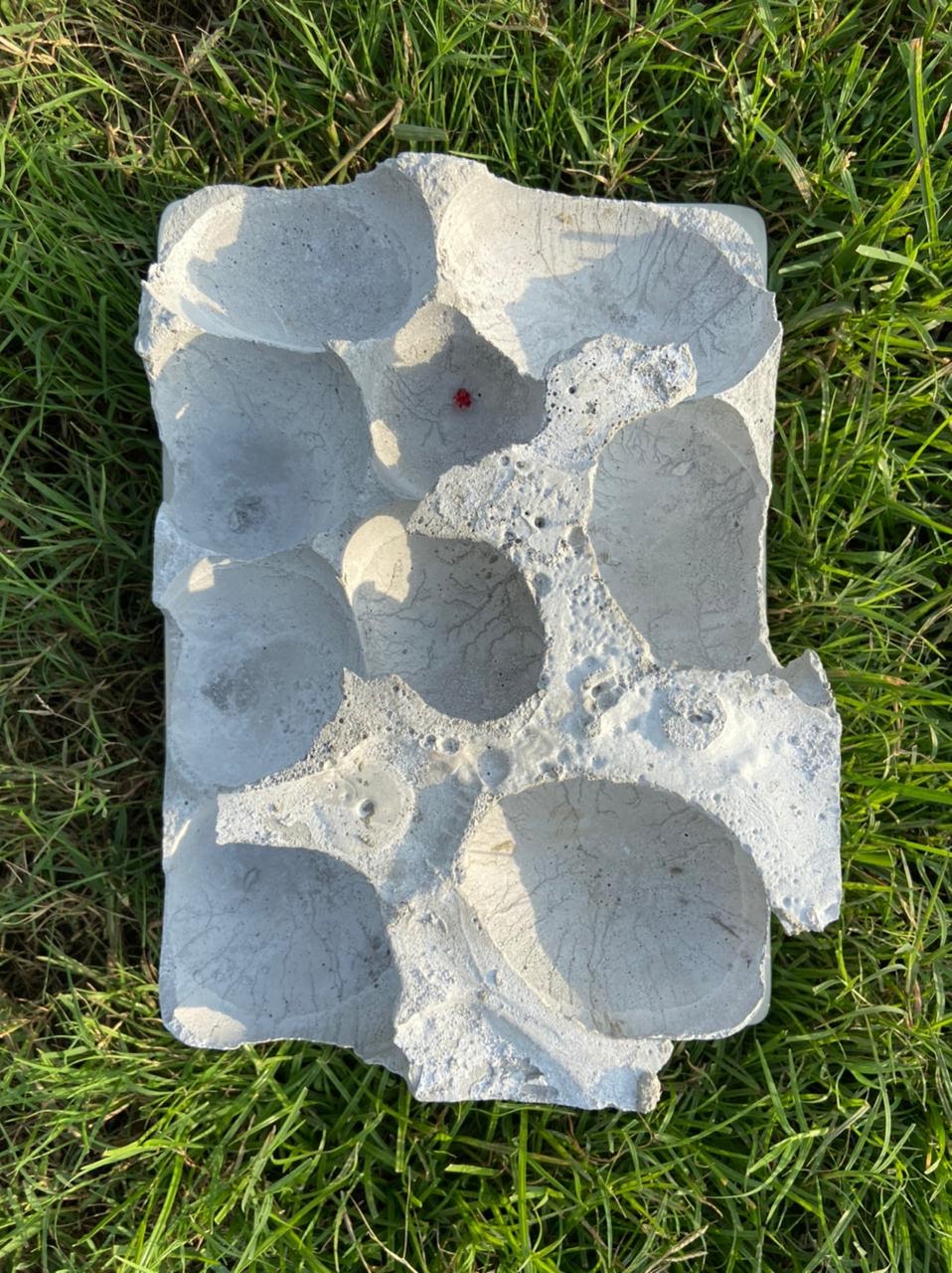 Allied Studies | The Architectural Kitchen