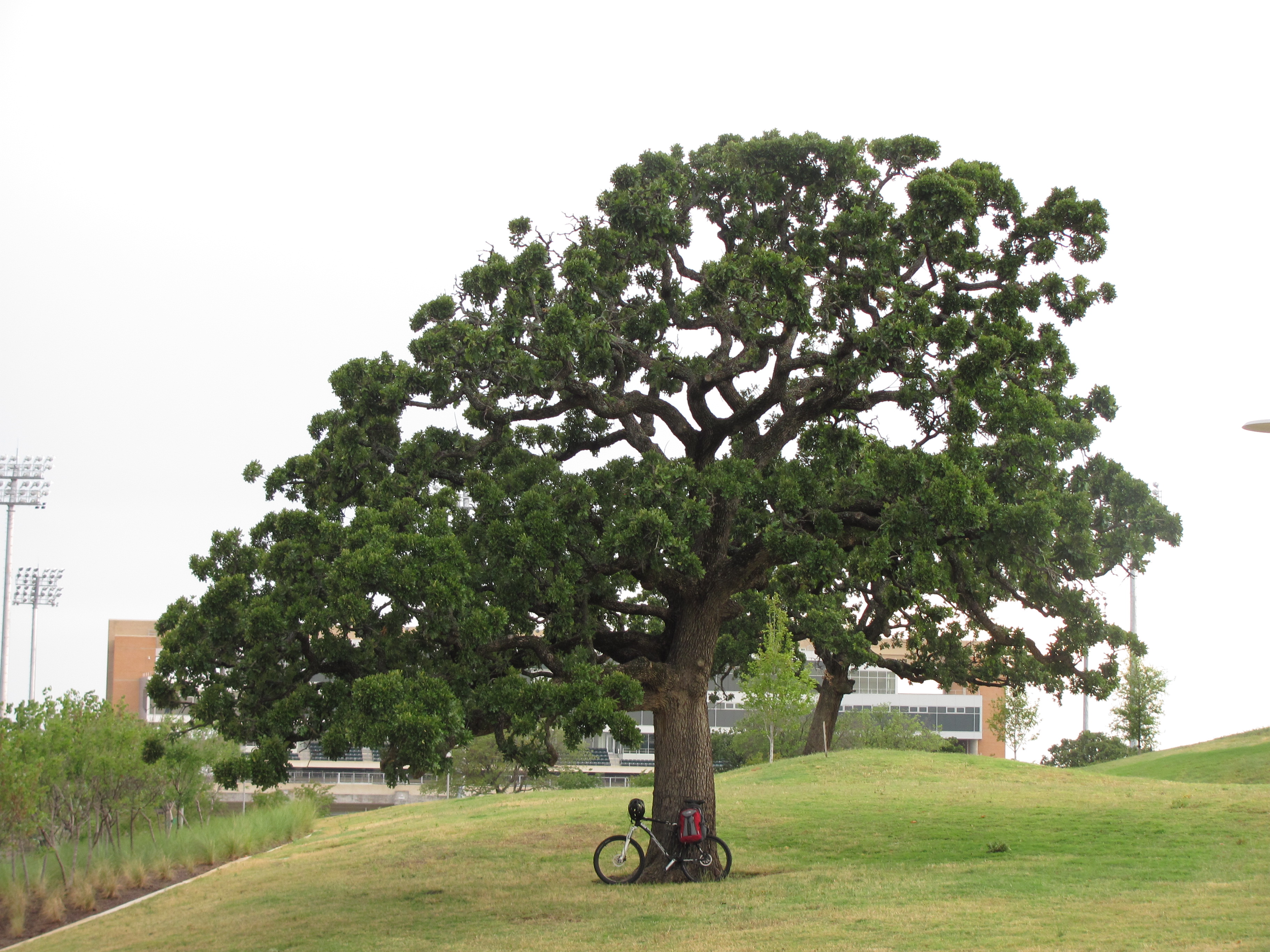 Photo Credit: Matt Fry