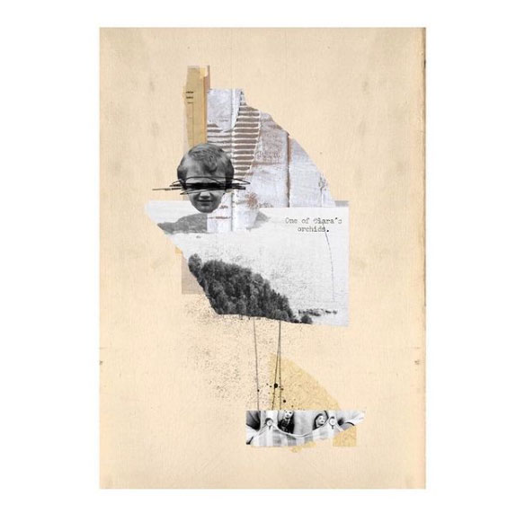 María José S. Acera