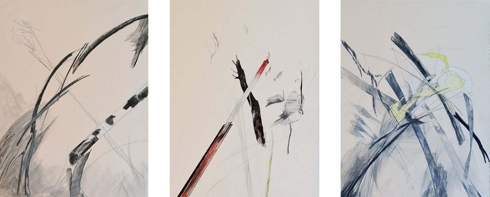 Grass 30x66" (three panels, each panel 30x22") graphite and colored pencil on paper 2019