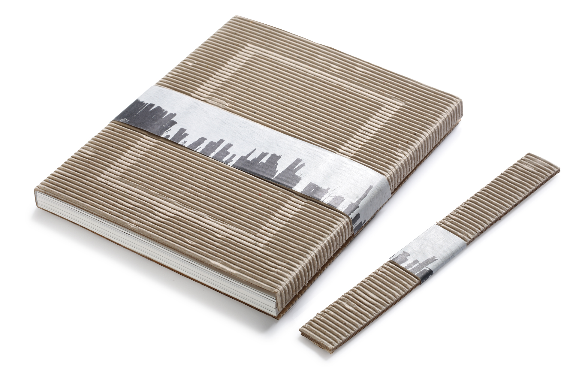 A Vista of Perspectives