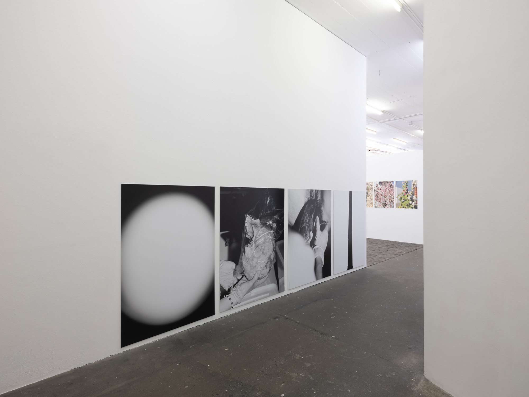 Matter. Centre de la photographie Genève. Switzerland. June 2023