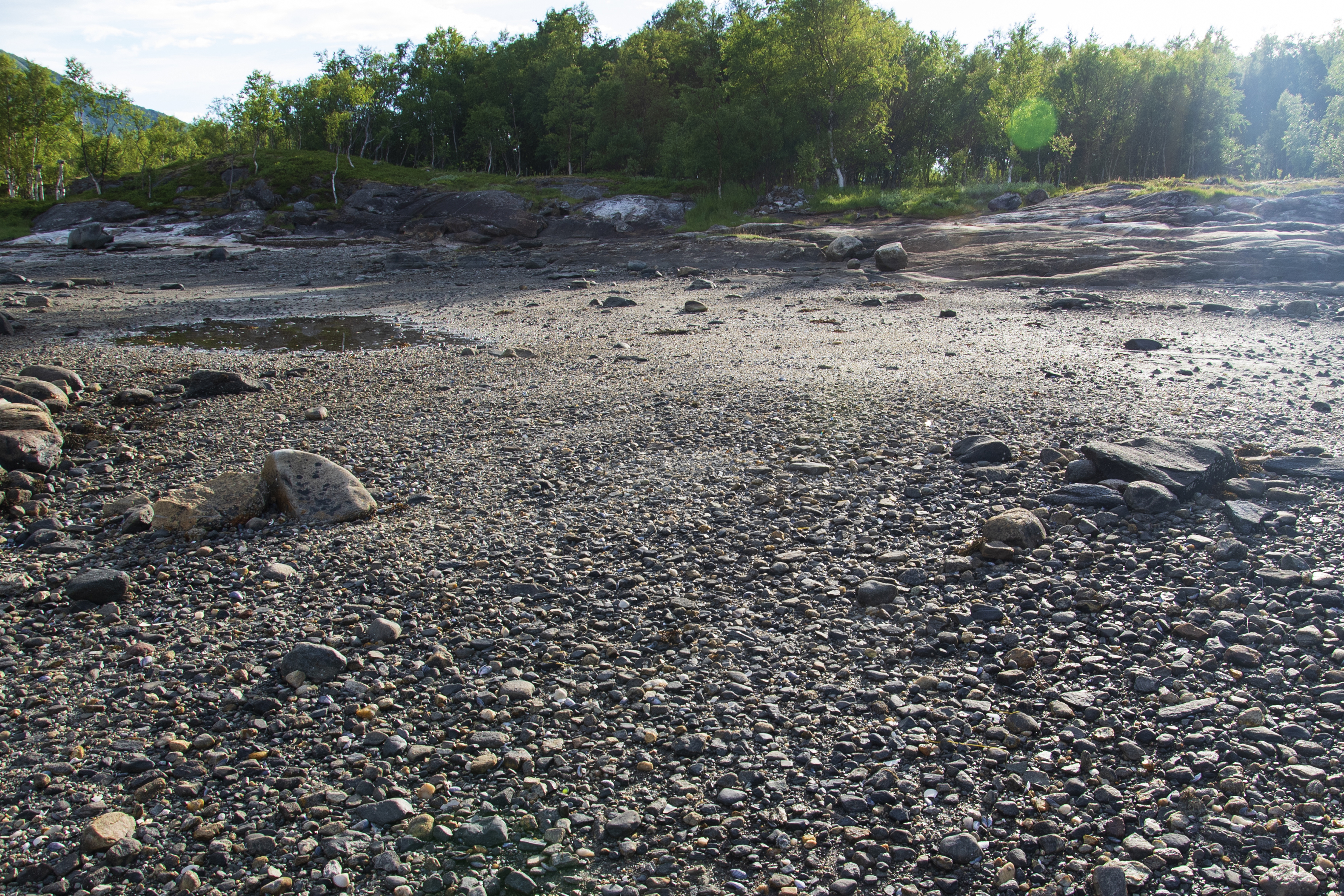 KROPP / SKJELL, 2024