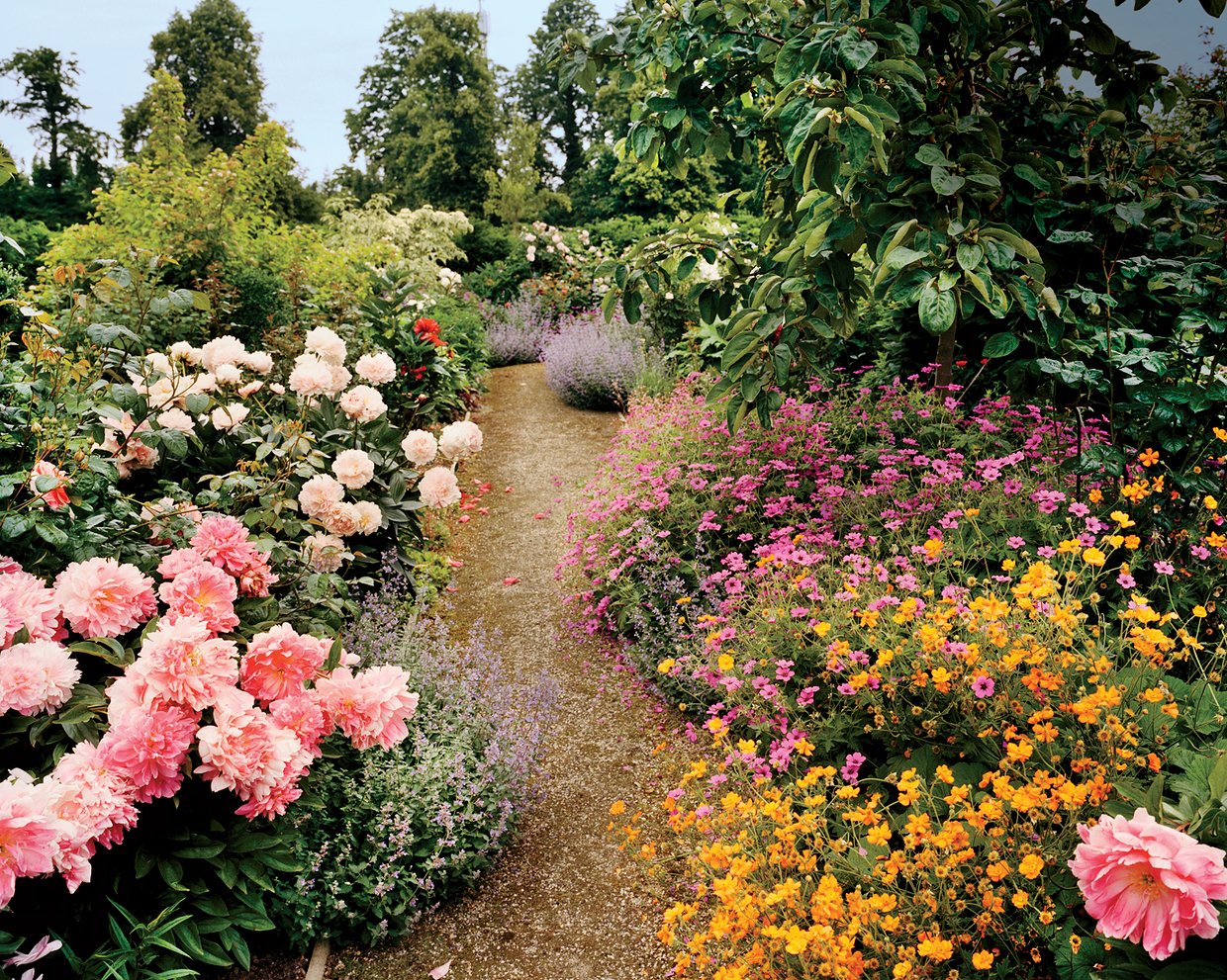 casa dries van noten