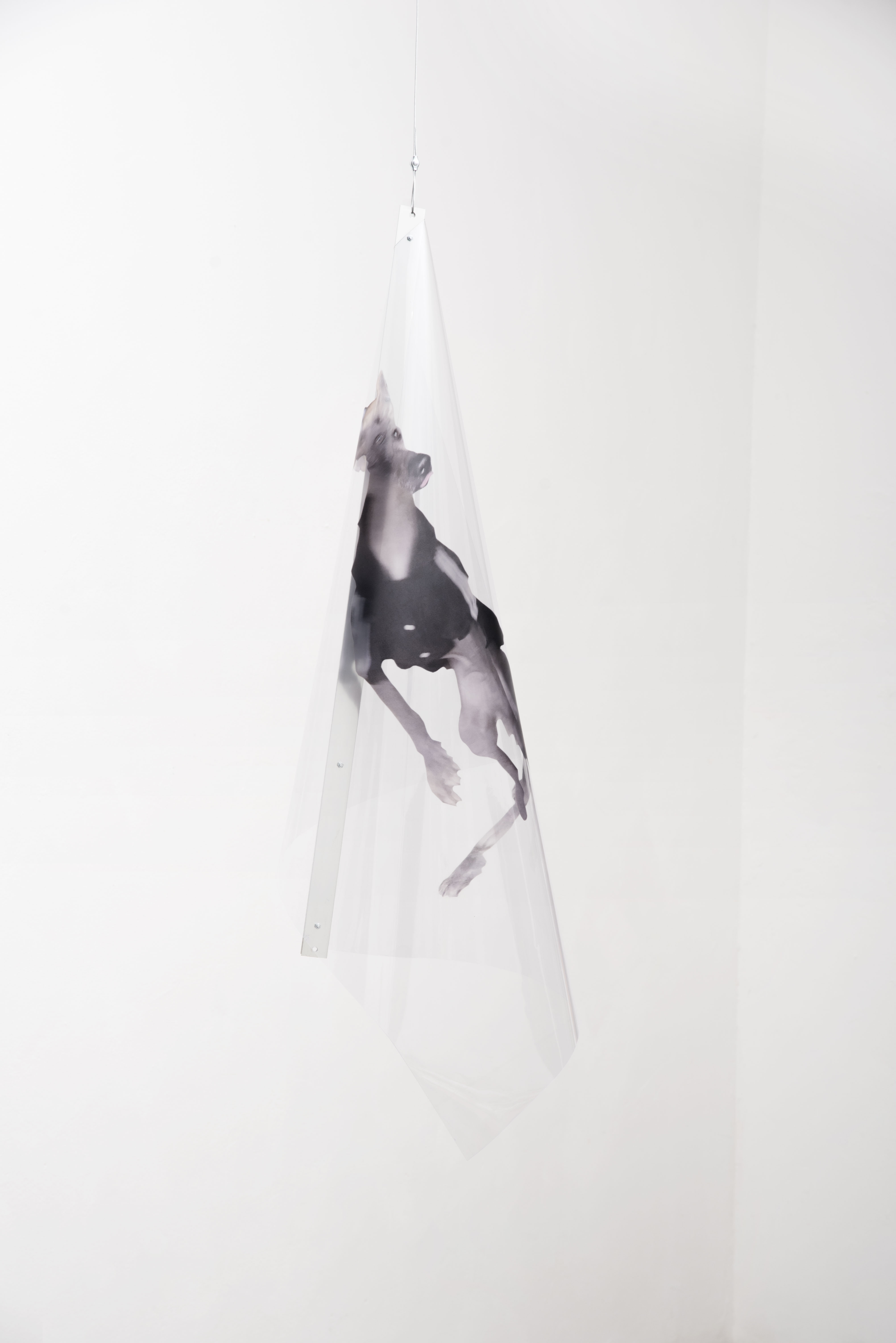 Make space in order to be space, 2020 - Uv printing on polyvinyl chloride, steel. 125 x 40 cm