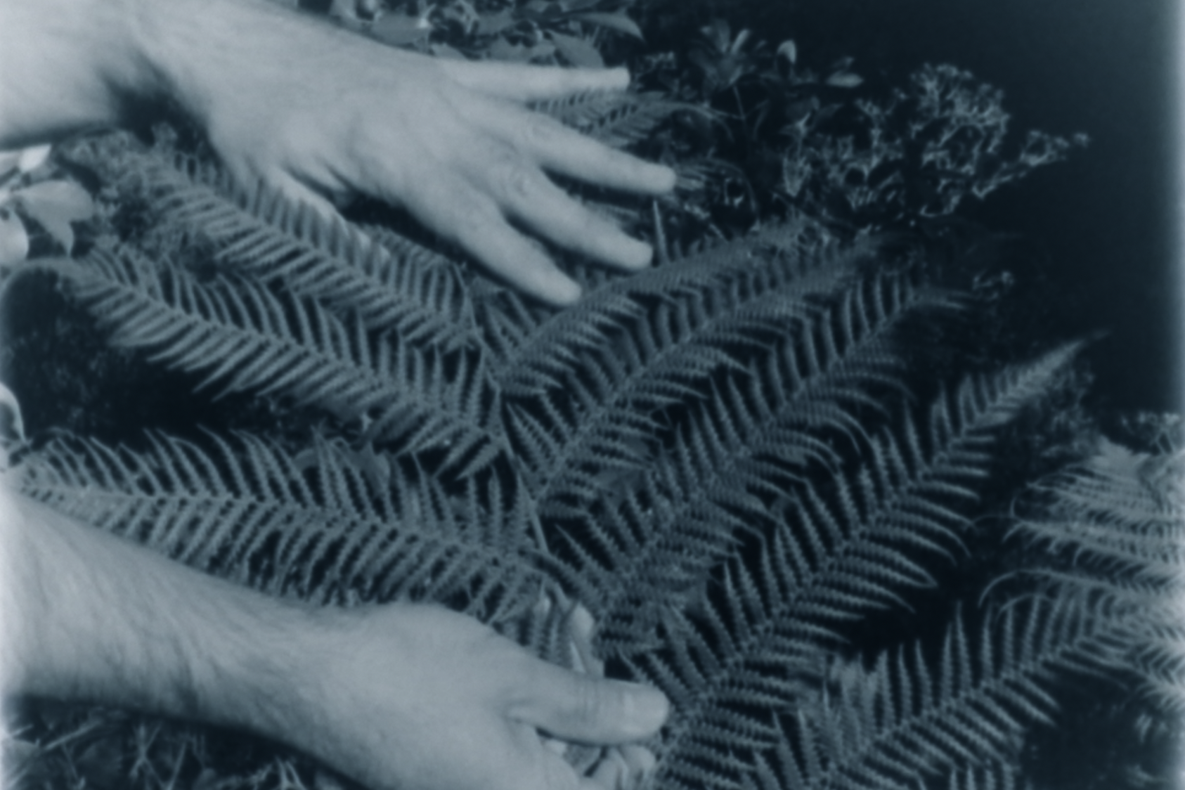 LOVE AFFAIR (16mm to digital, color, 8’40’’ 2022)