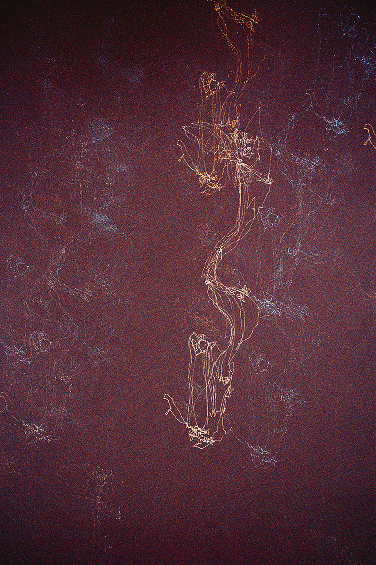 7. August, 10 km Tagesweg