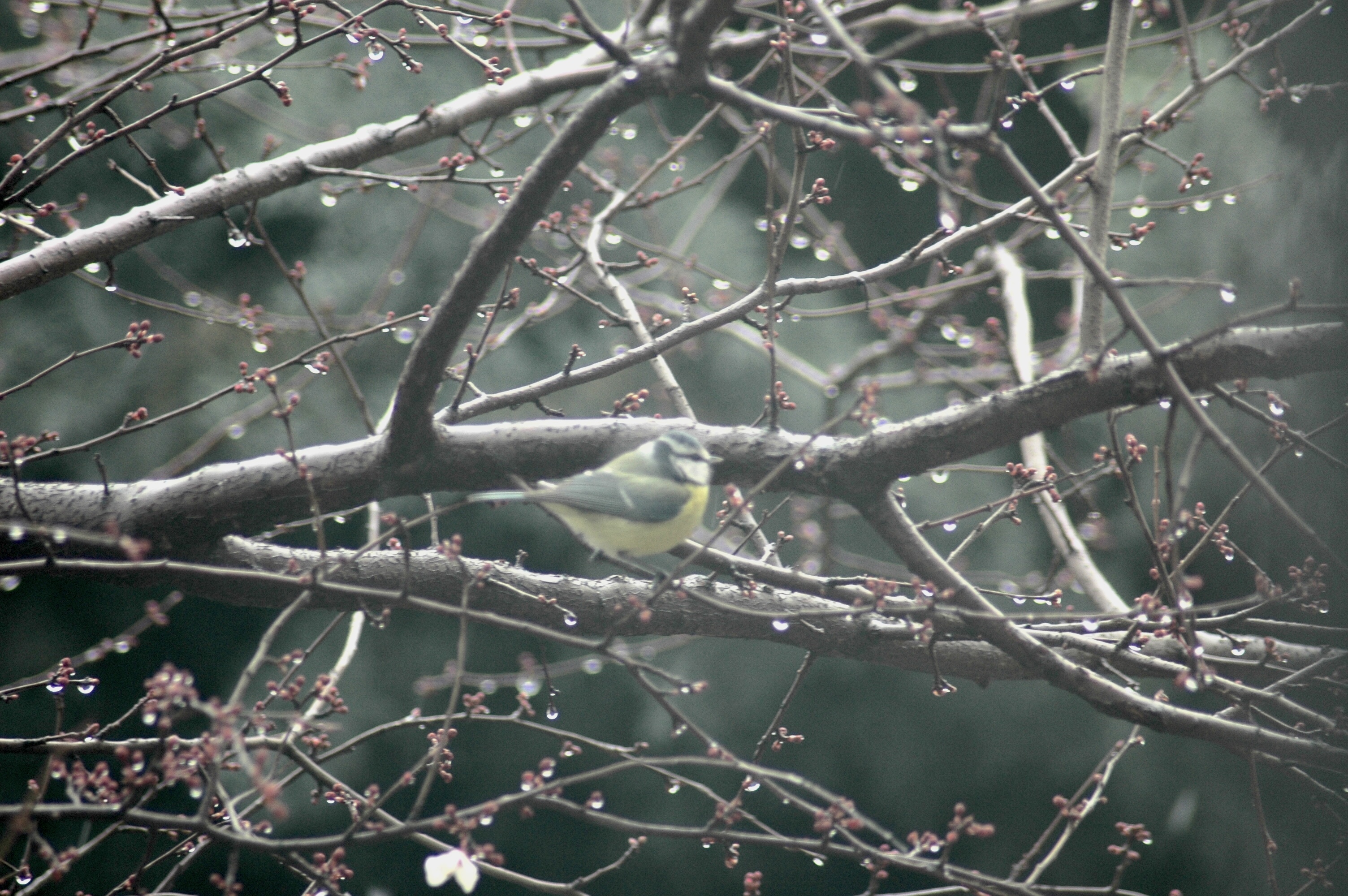 12.02.2021, Lojman bölgesi
