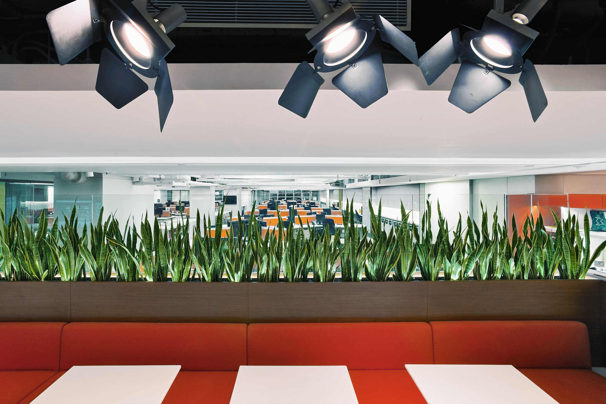 M Moser Associates, Office, Hong Kong, Breakout area, Spotlights, Interior Design photography