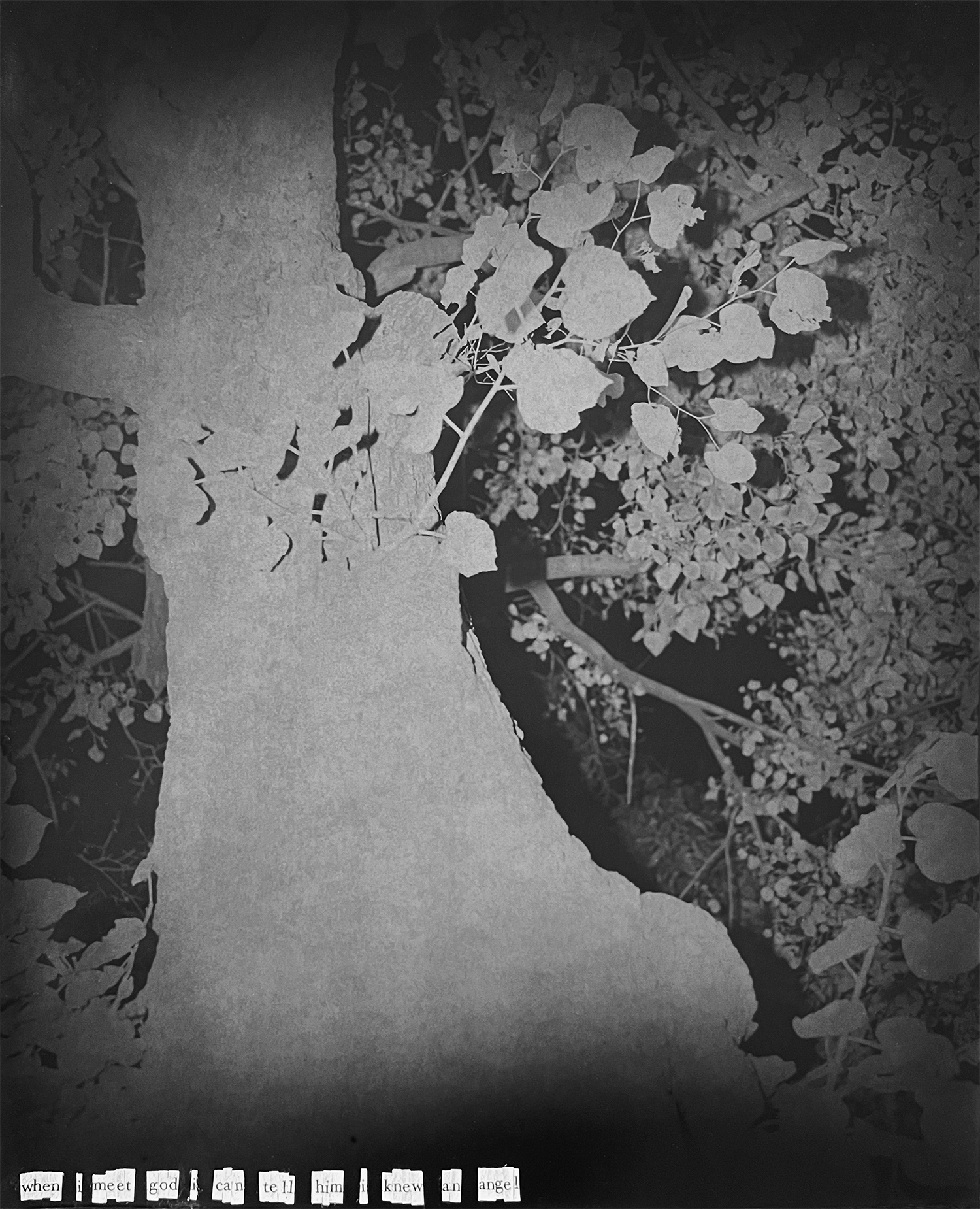 when i meet god (8x10" silver gelatin print, letters from Lynne Tillman's Madame Realism)