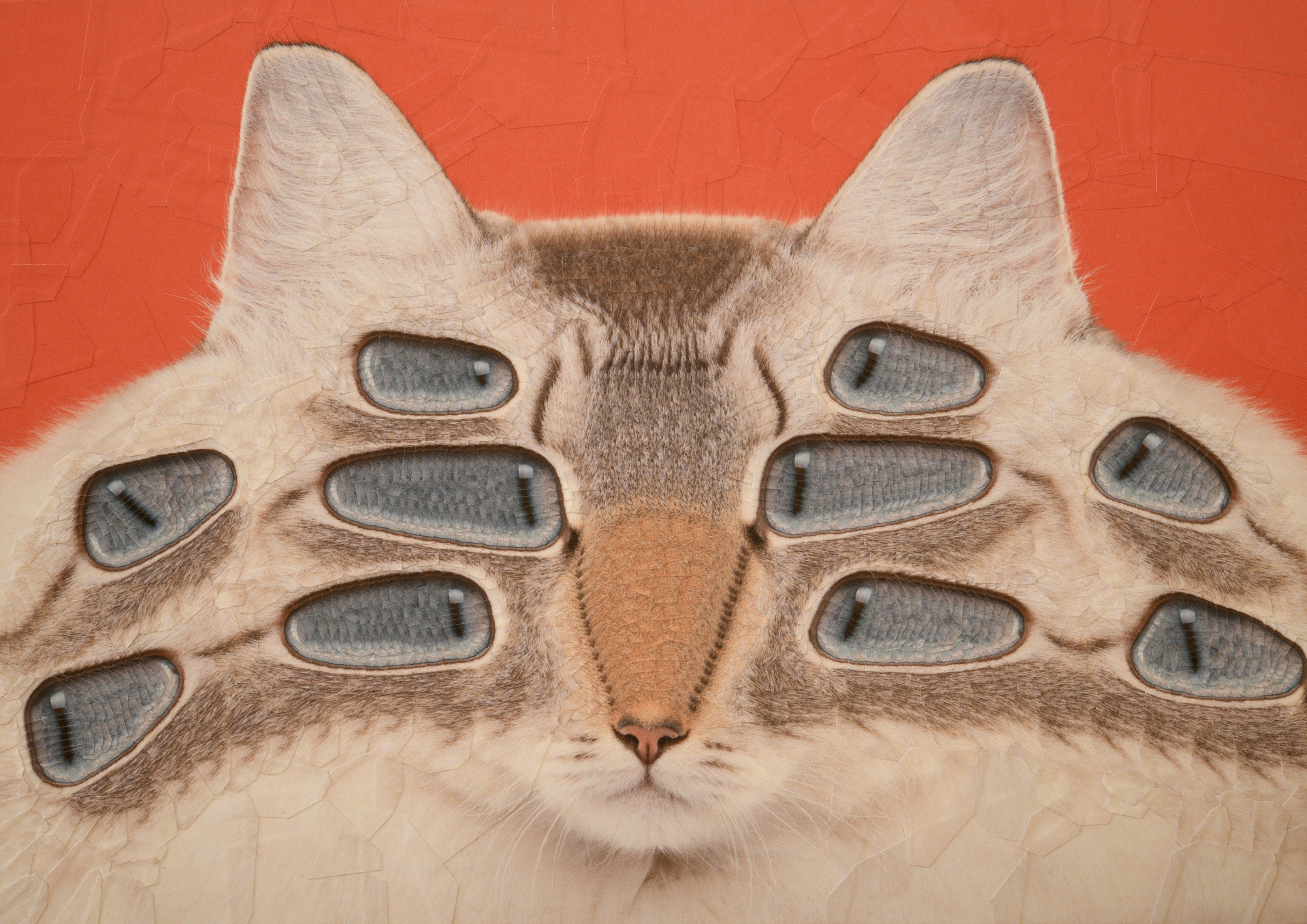 Andromeda, 2022, 11.6 x 8.2 inches