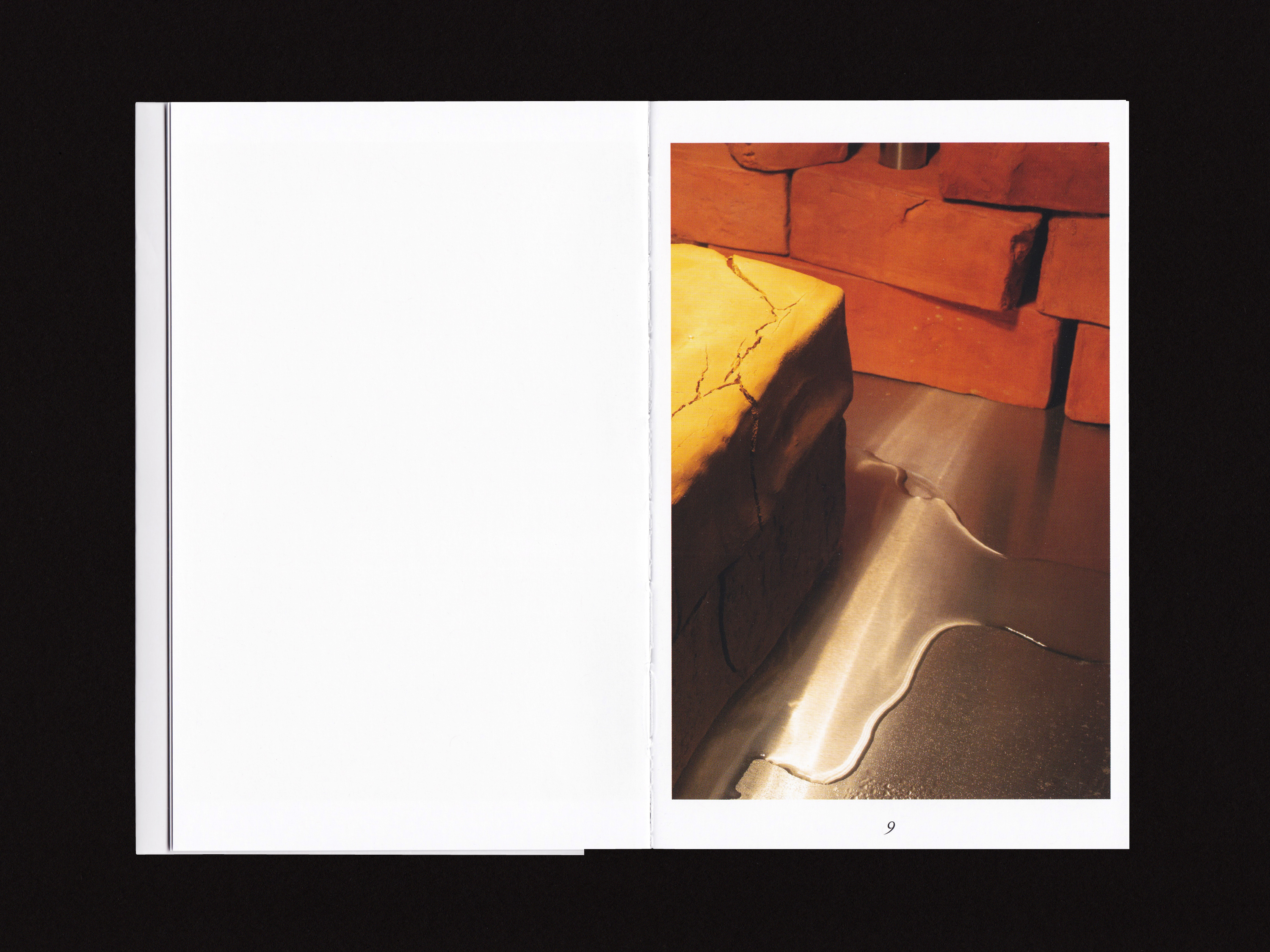 Publication design for 'Susan Jacobs: The ants are in the idiom', Buxton Contemporary, 2022. 