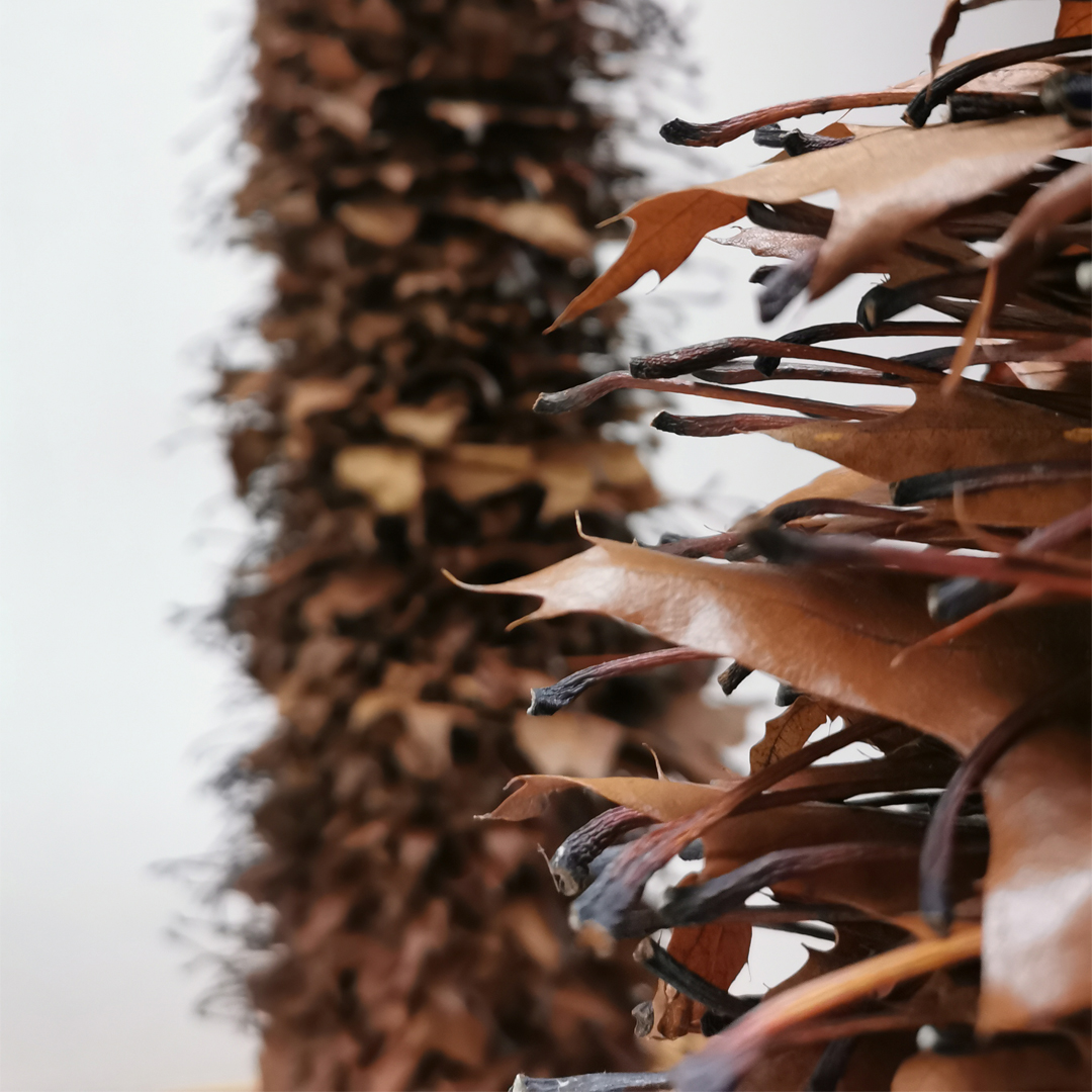 Blätter  28.-30.12.22