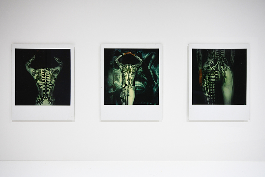 Untitled, 1981, polaroids