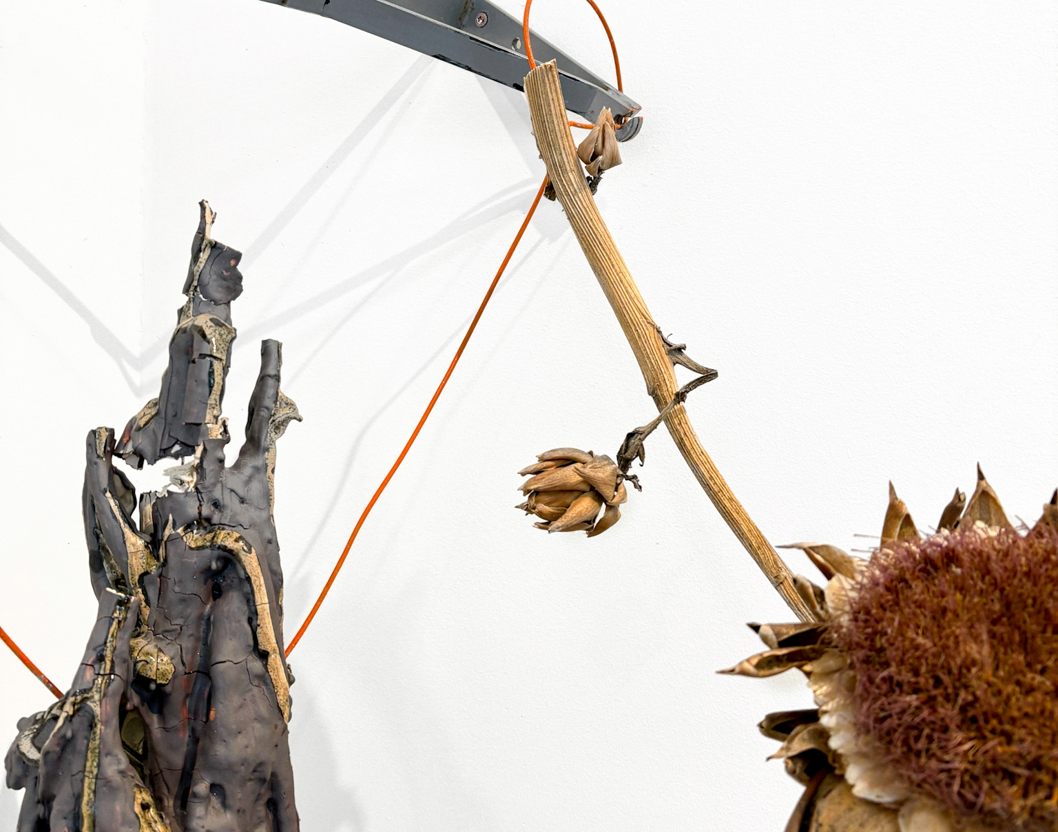 sunflower & artichoke