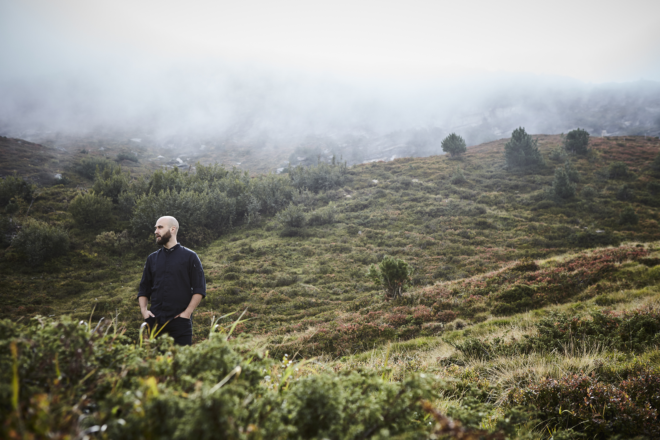 MITJA BIRLO GAULT MILLAU