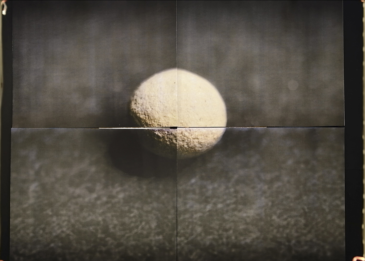 Graine de betterave enrob&eacute;e