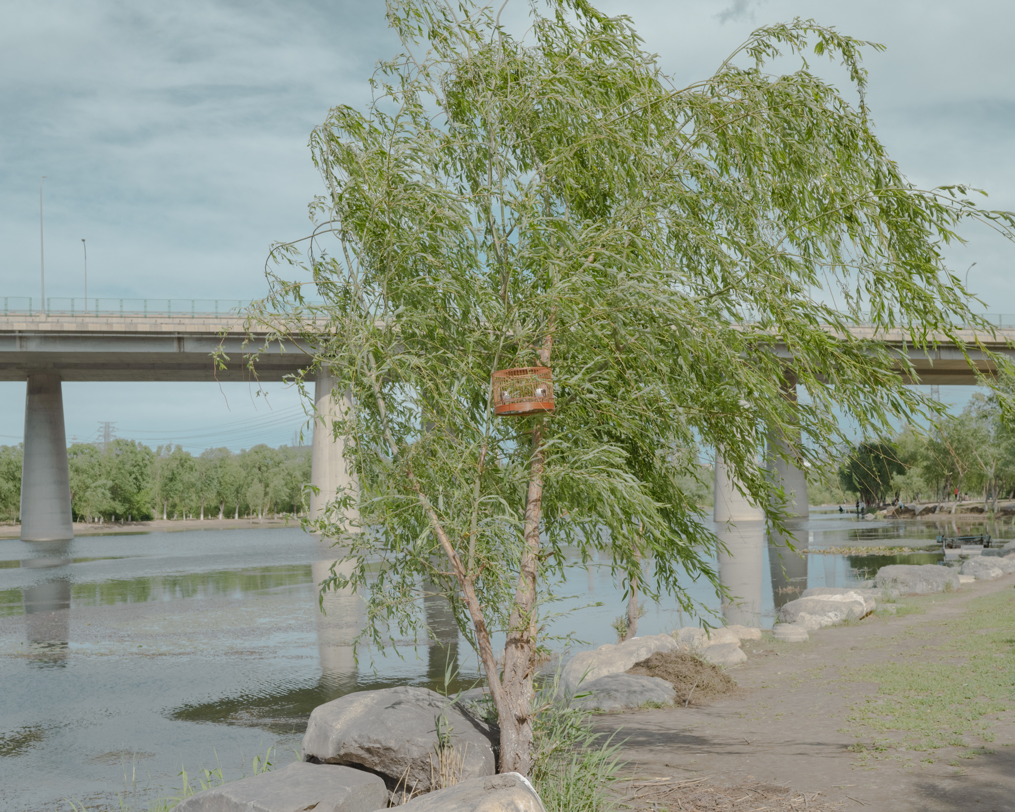 Eternal water with Ripples