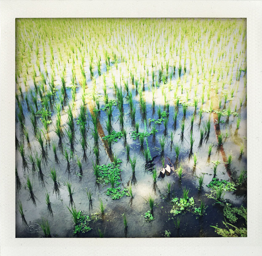 2015/08 Bali Indonesia