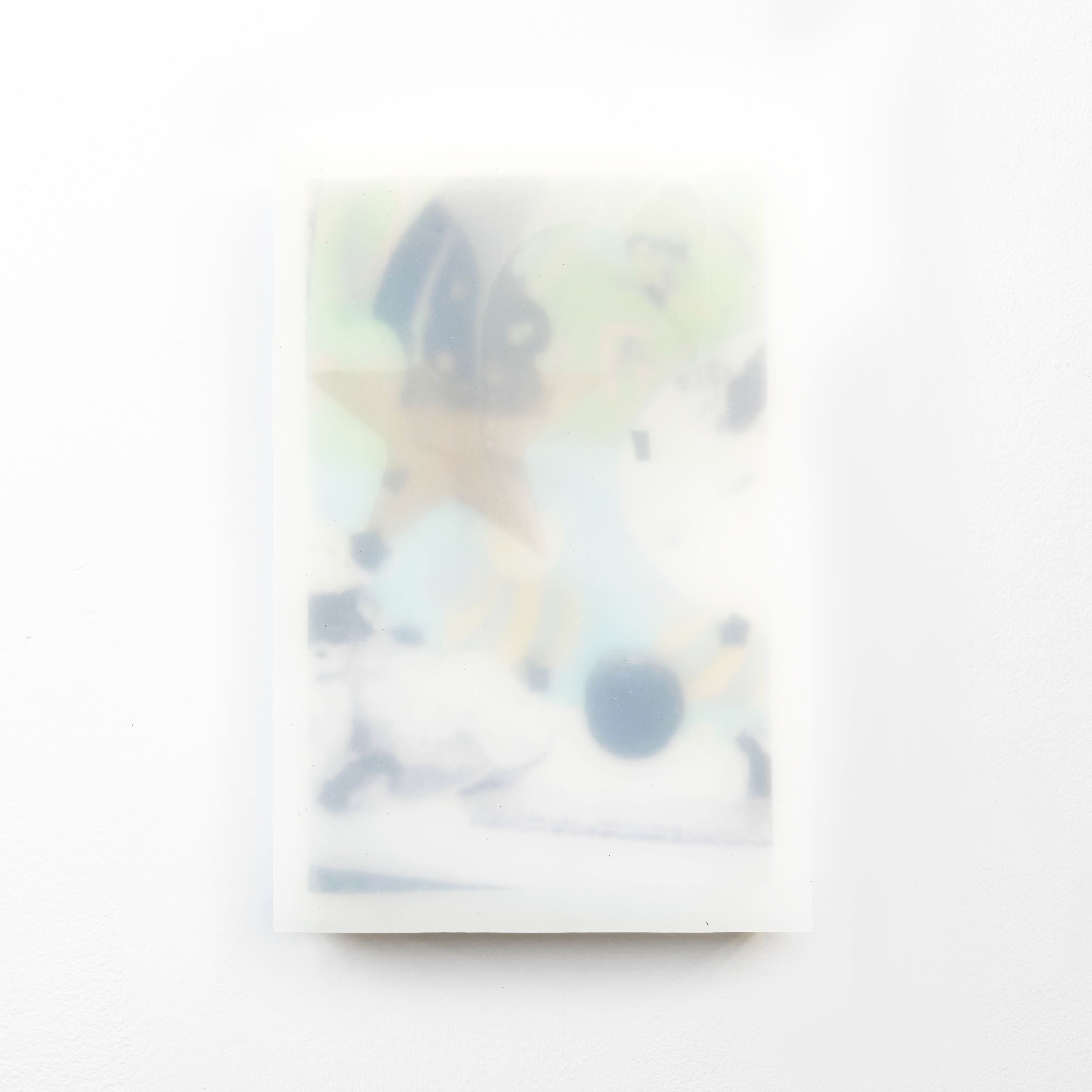 collector2025Platinum silicone, toner and vinyl on board24 x 17cm