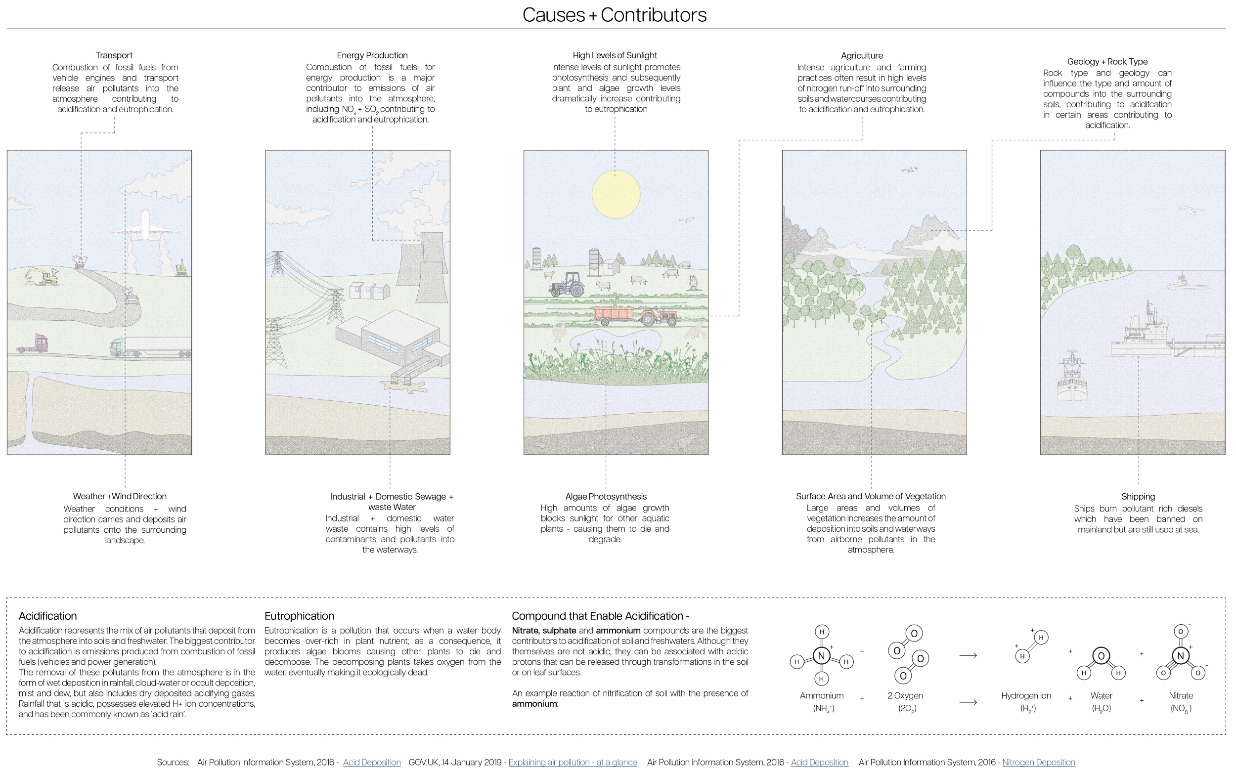 Causes + Contributors of Acidification + Eutrophication
