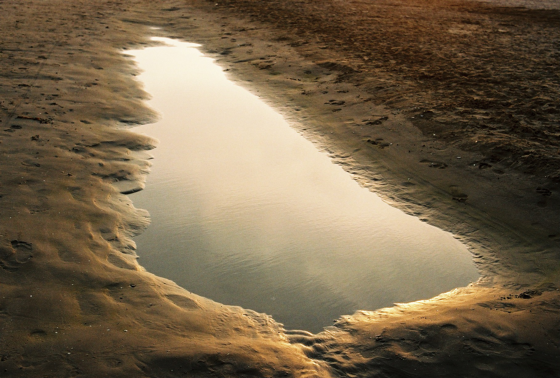 Carnon, France, 2017.