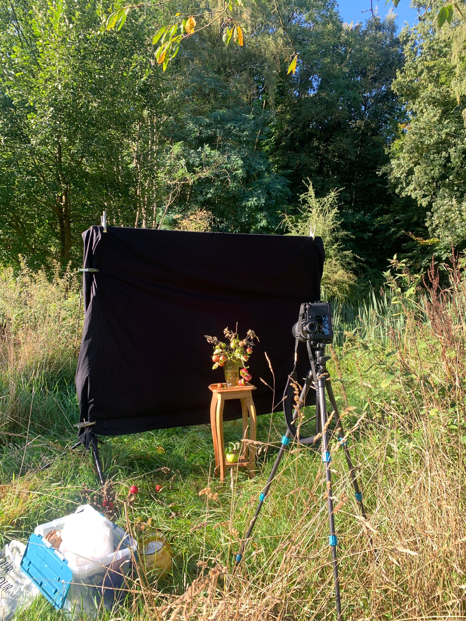 Continuing 'the Golden Gaze' at the Moraine as their artist-in-residence