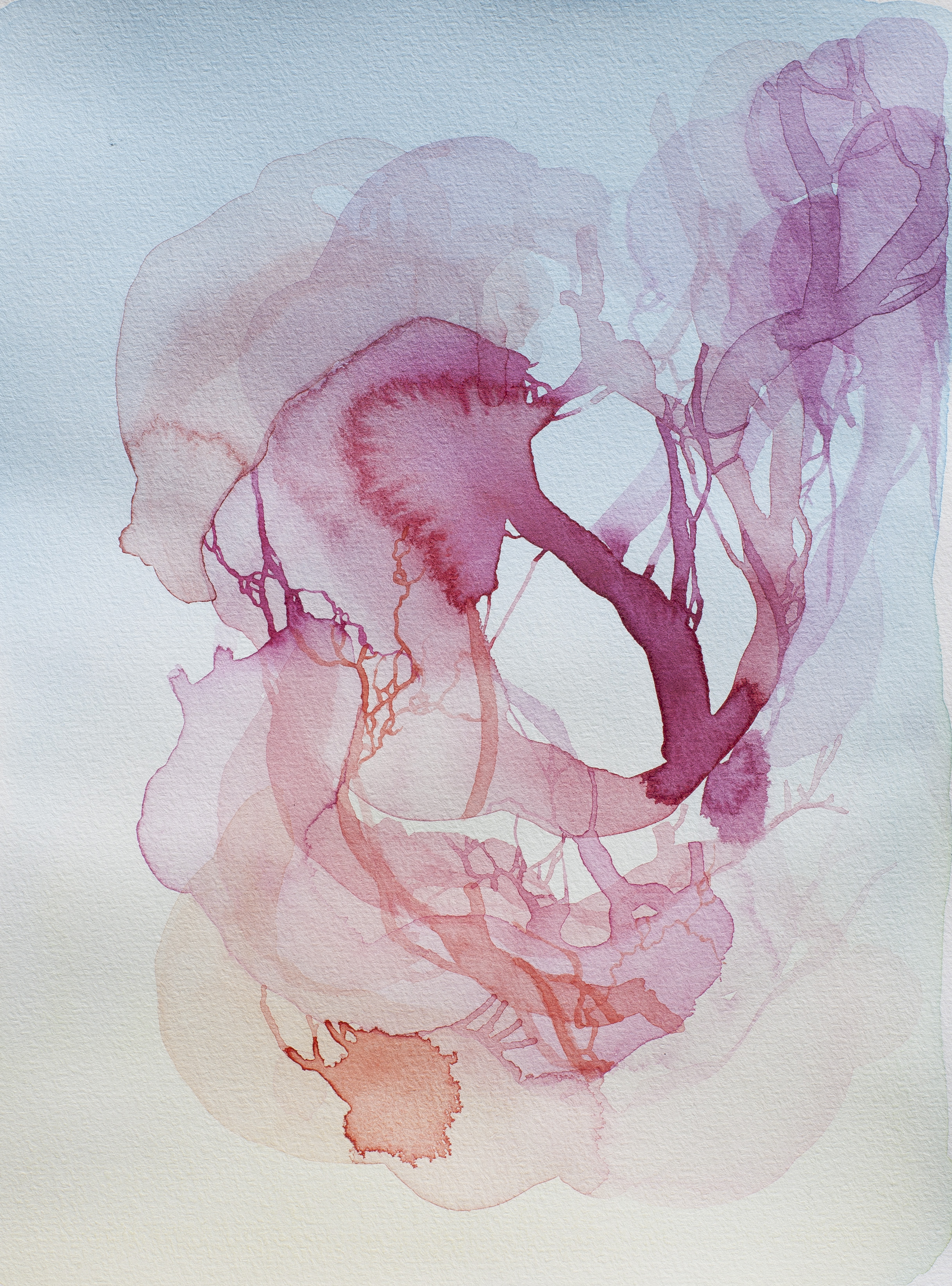 Entraille d'aube n&deg;5 (aquarelle, 20,9 x 26,8cm, printemps 2023)